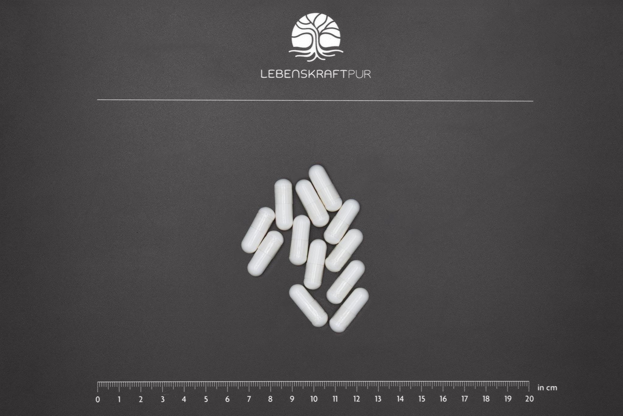 LebenskraftPur Cerebro Mag Kapseln Magnesium L-Threonat 90