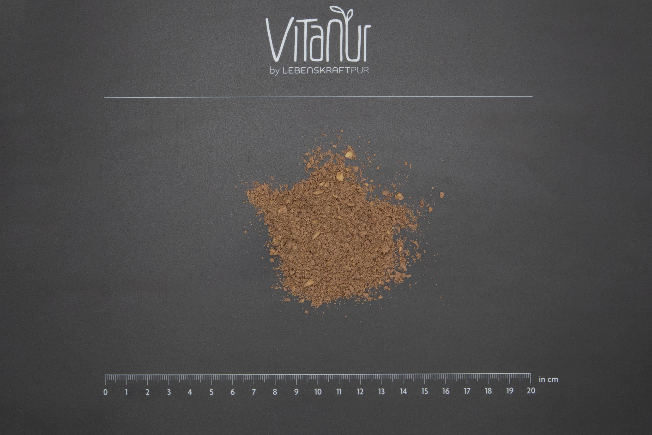 LebenskraftPur Bio Porridge Schokolade Gekeimt vegan Bio