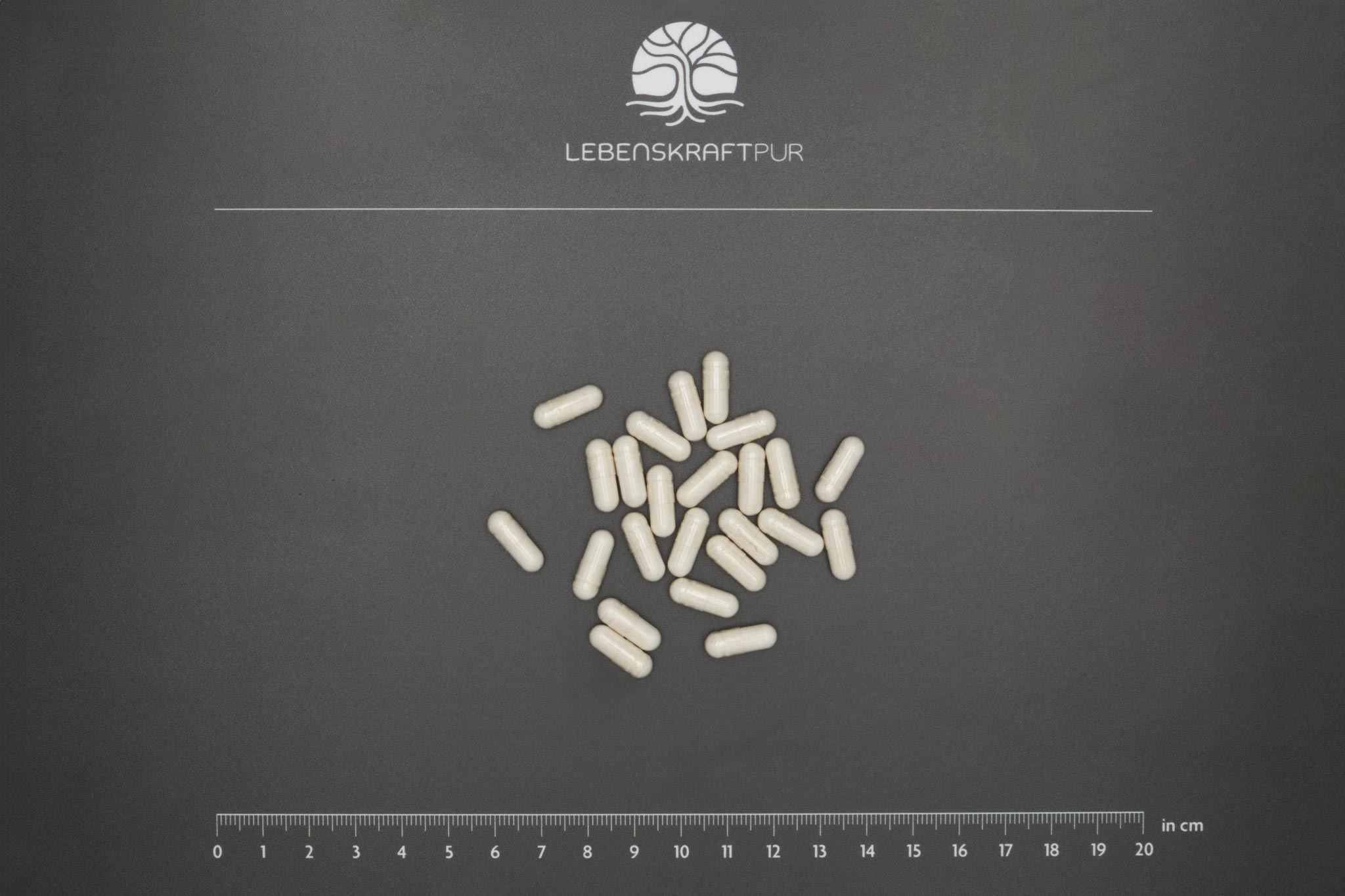 Lebenskraftpur Nattokinase Kapseln Fermokinase vegan