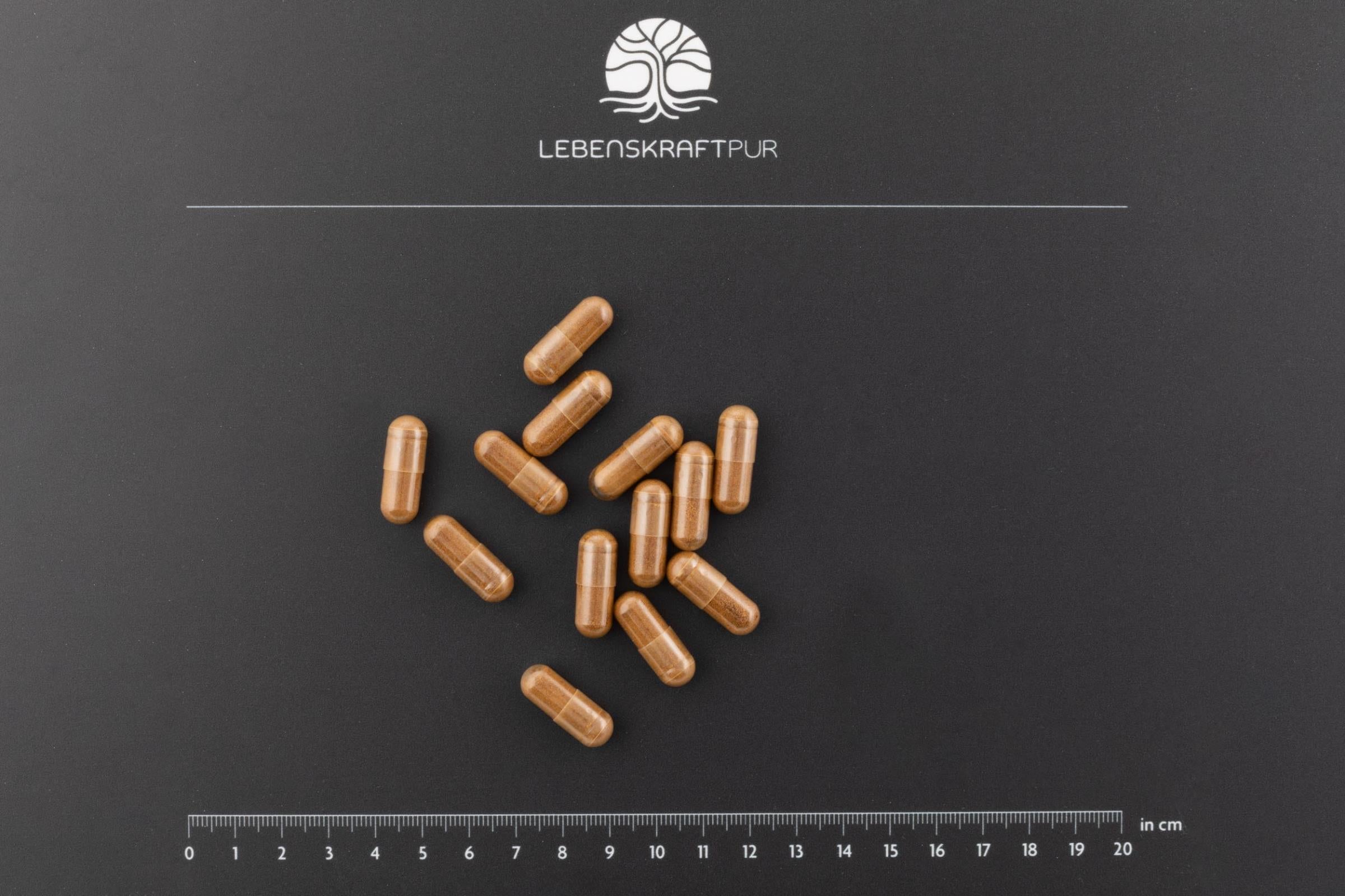 LebenskraftPur Pilzkraft Vital Kapseln Agaricus Cordyceps