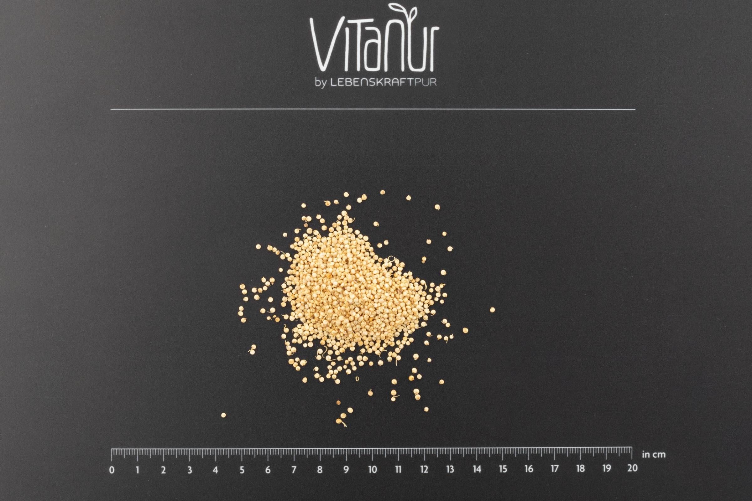 LebenskraftPur Superfood Bio Quinoa Gekeimt 350 g roh vegan