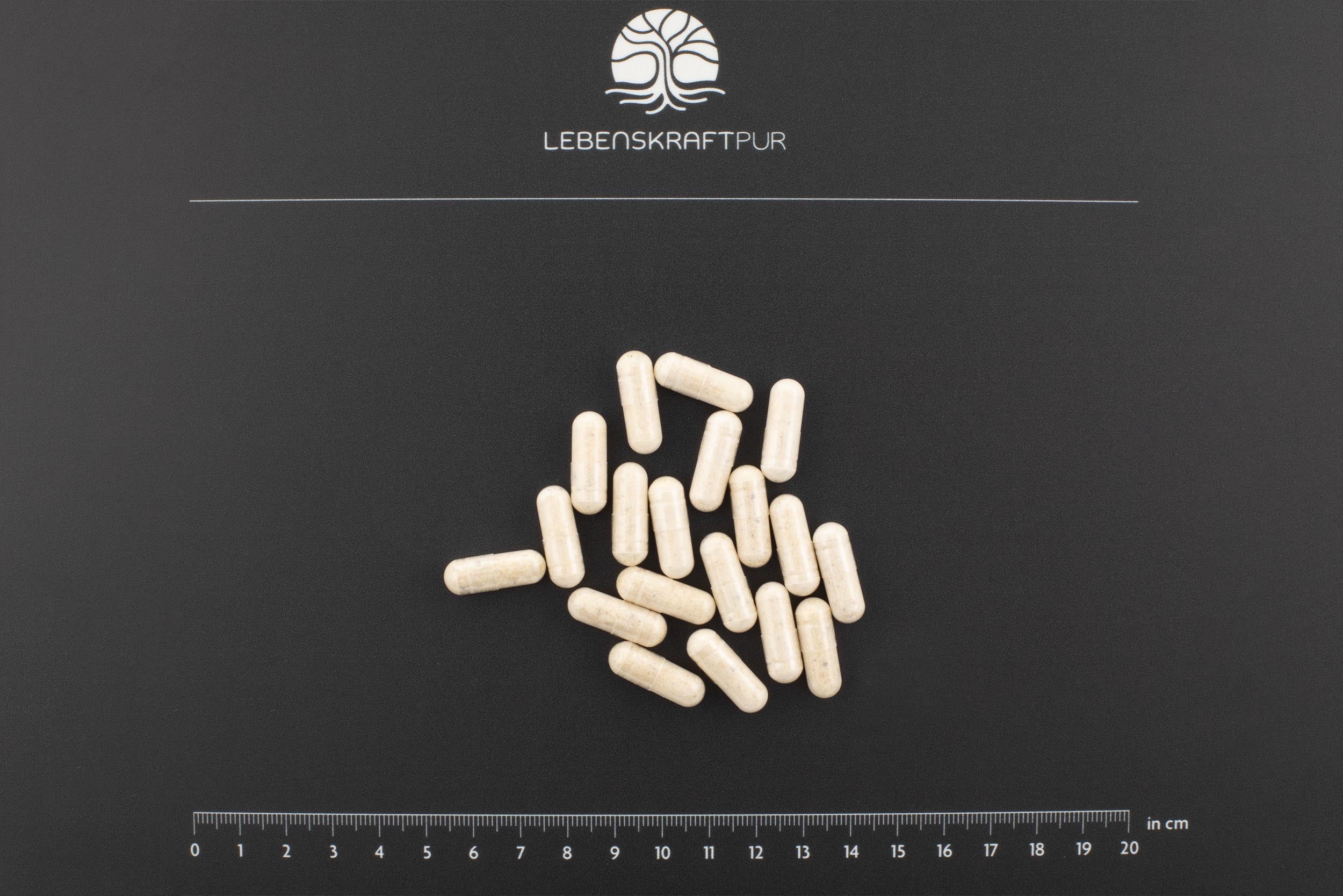 LebenskraftPur Weihrauch Kapseln Boswellia Harz vegan