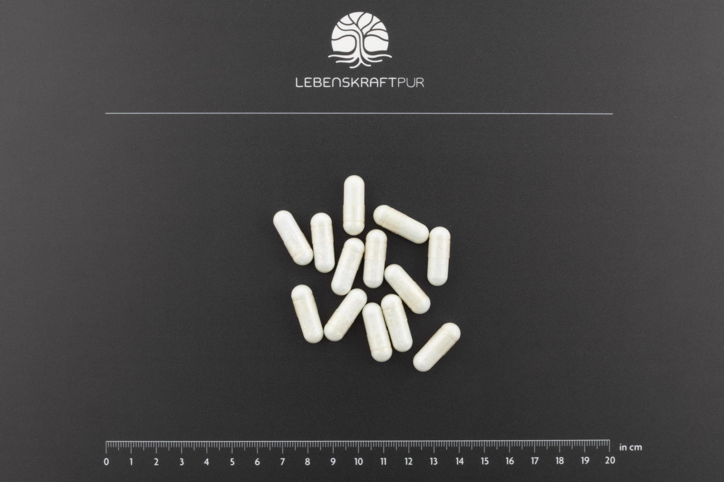 LebenskraftPur Bindegewebe Vital Kapseln vegan