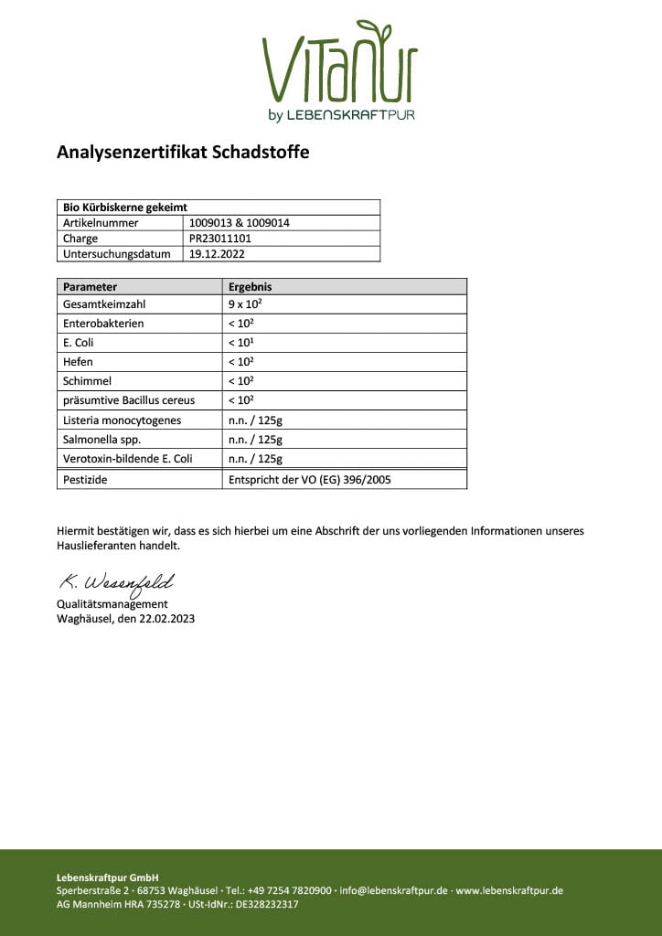 LebenskraftPur Superfood Bio Kürbiskerne Gekeimt 300 g roh