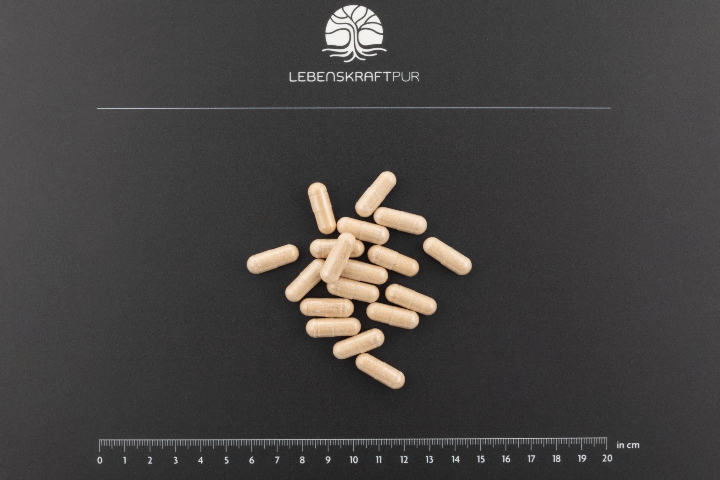 LebenskraftPur Prostata Vital Kapseln Zink Kürbiskern vegan
