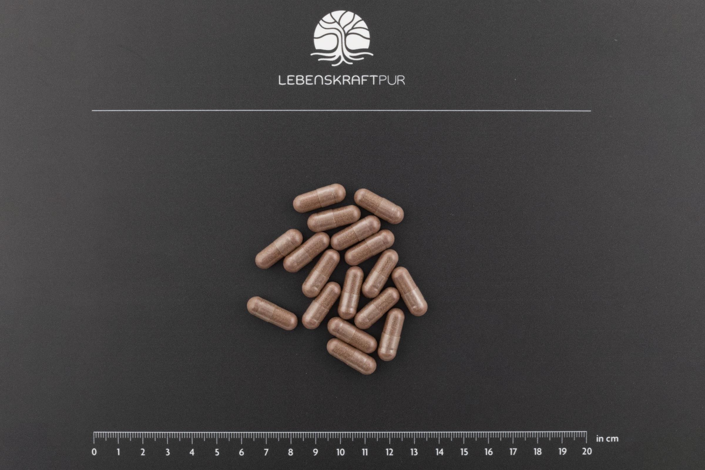 LebenskraftPur Cistus Plus Kapseln Zistrose vegan