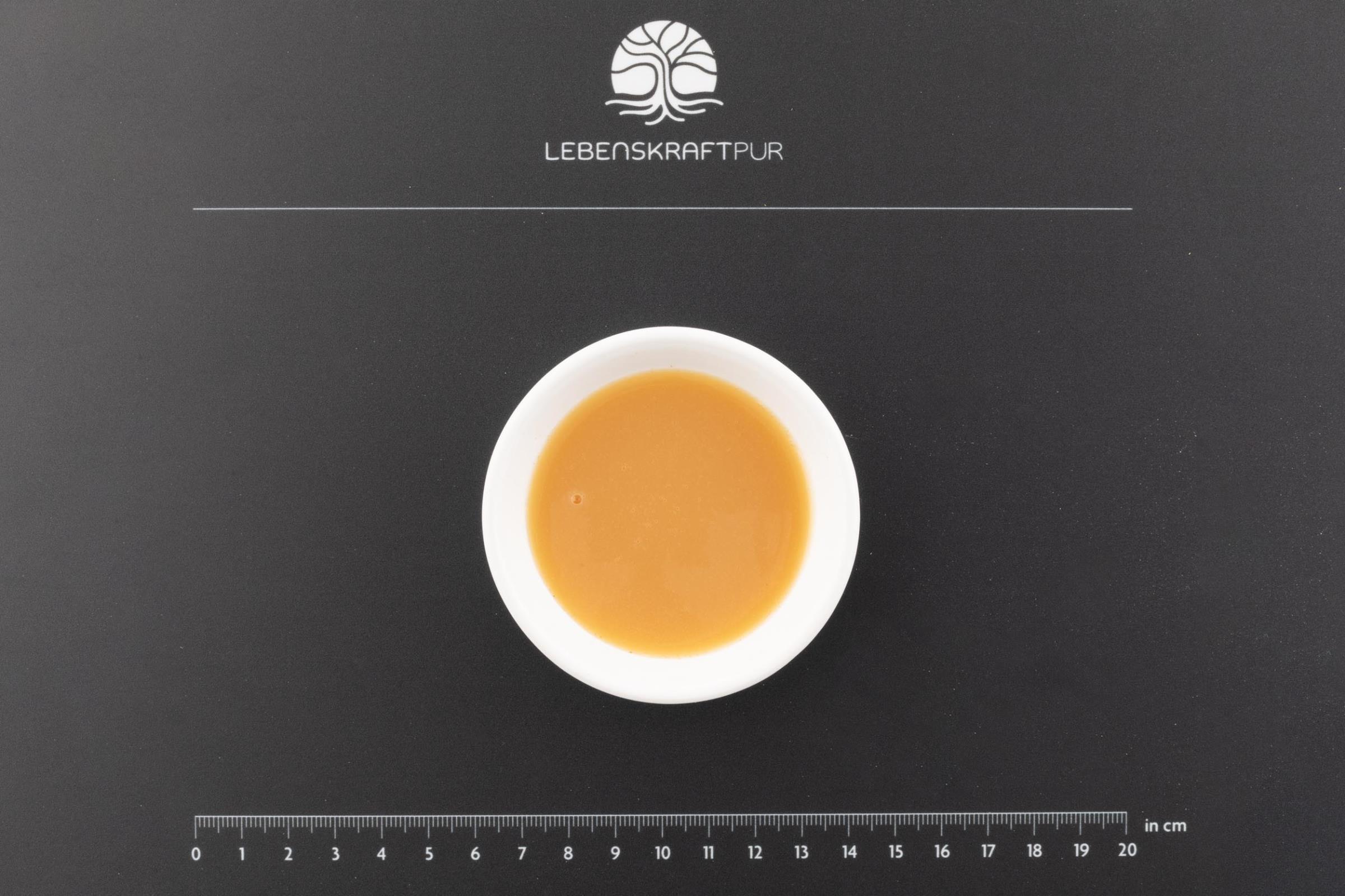 LebenskraftPur Glutathion Plus Liposomal vegan hochdosiert