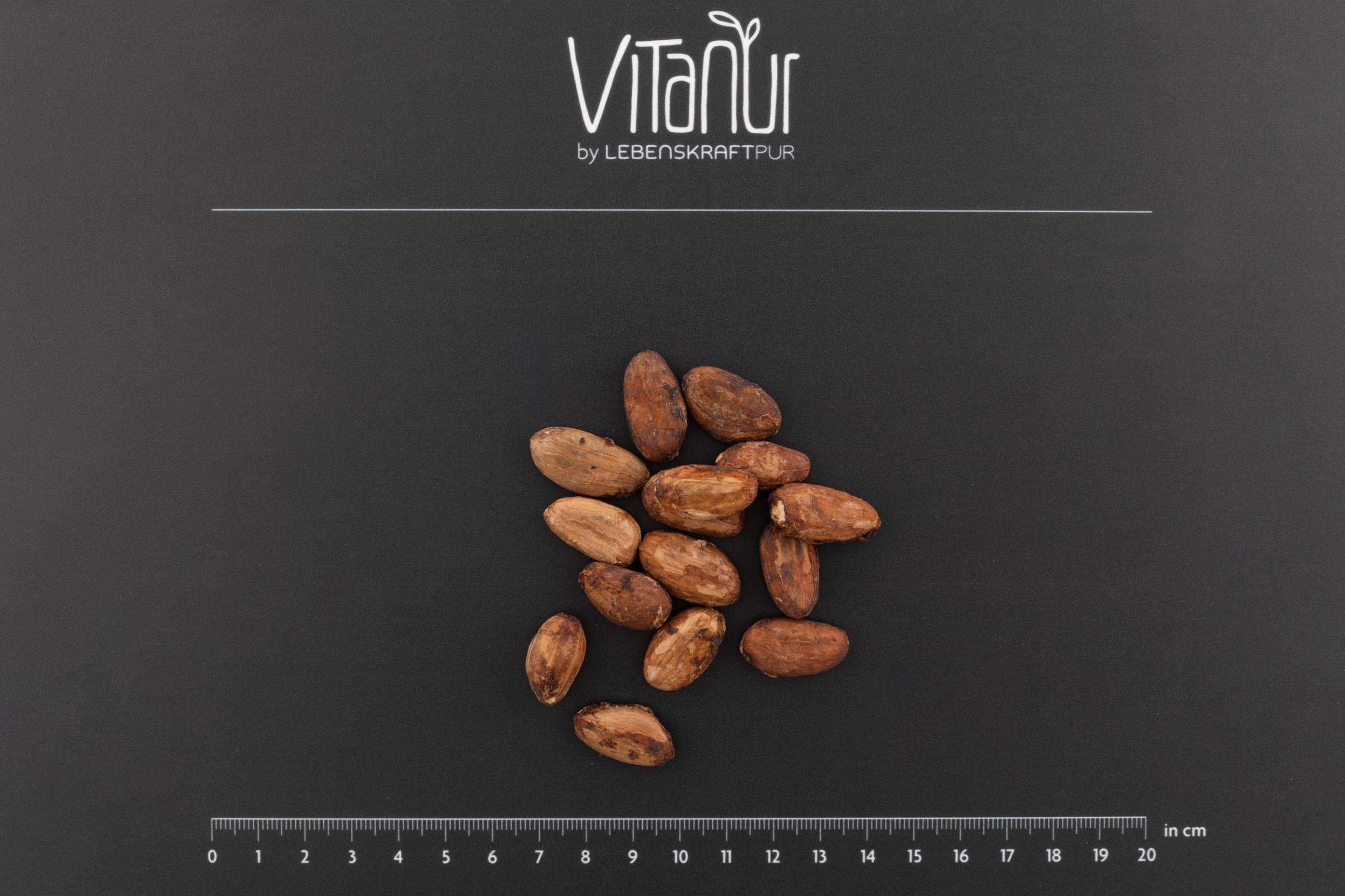 LebenskraftPur Superfood Bio Kakaobohne Ganz Criollo Rohkost