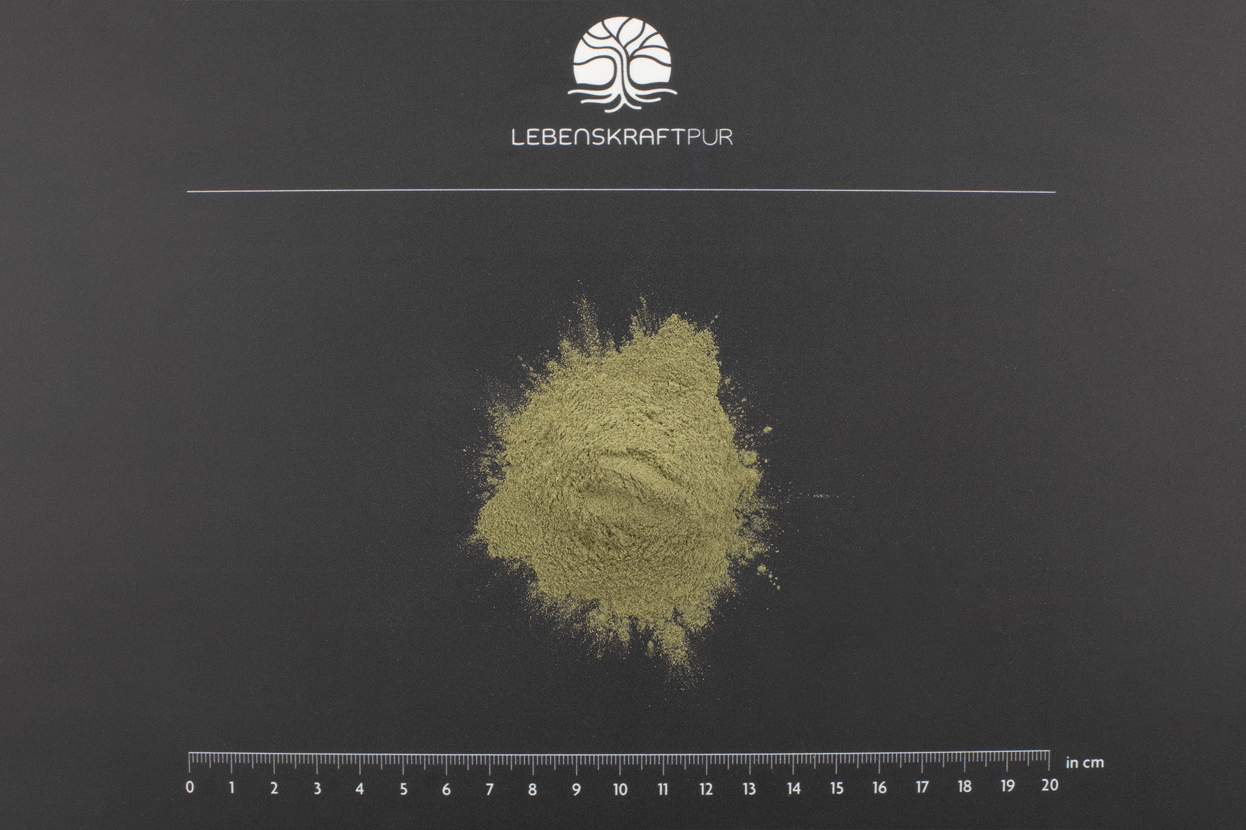 Lebenskraftpur Silizium Komplex Pulver Nahrungsergänzung Haut