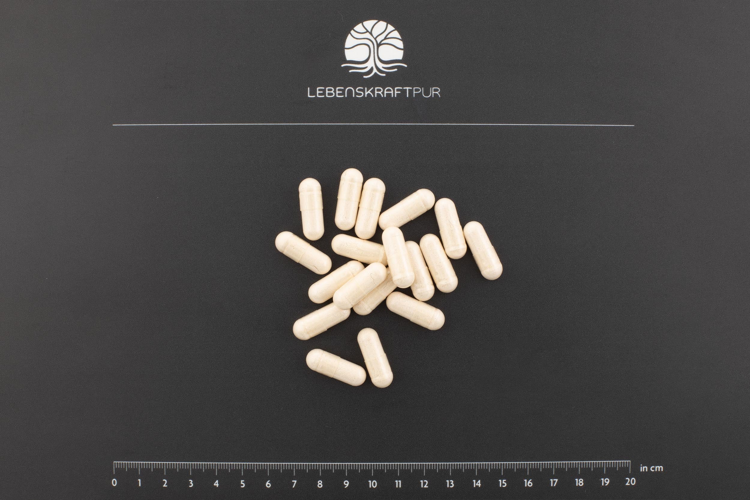 LebenskraftPur Multi Vitamineral Kapseln Vitamine Mineralien