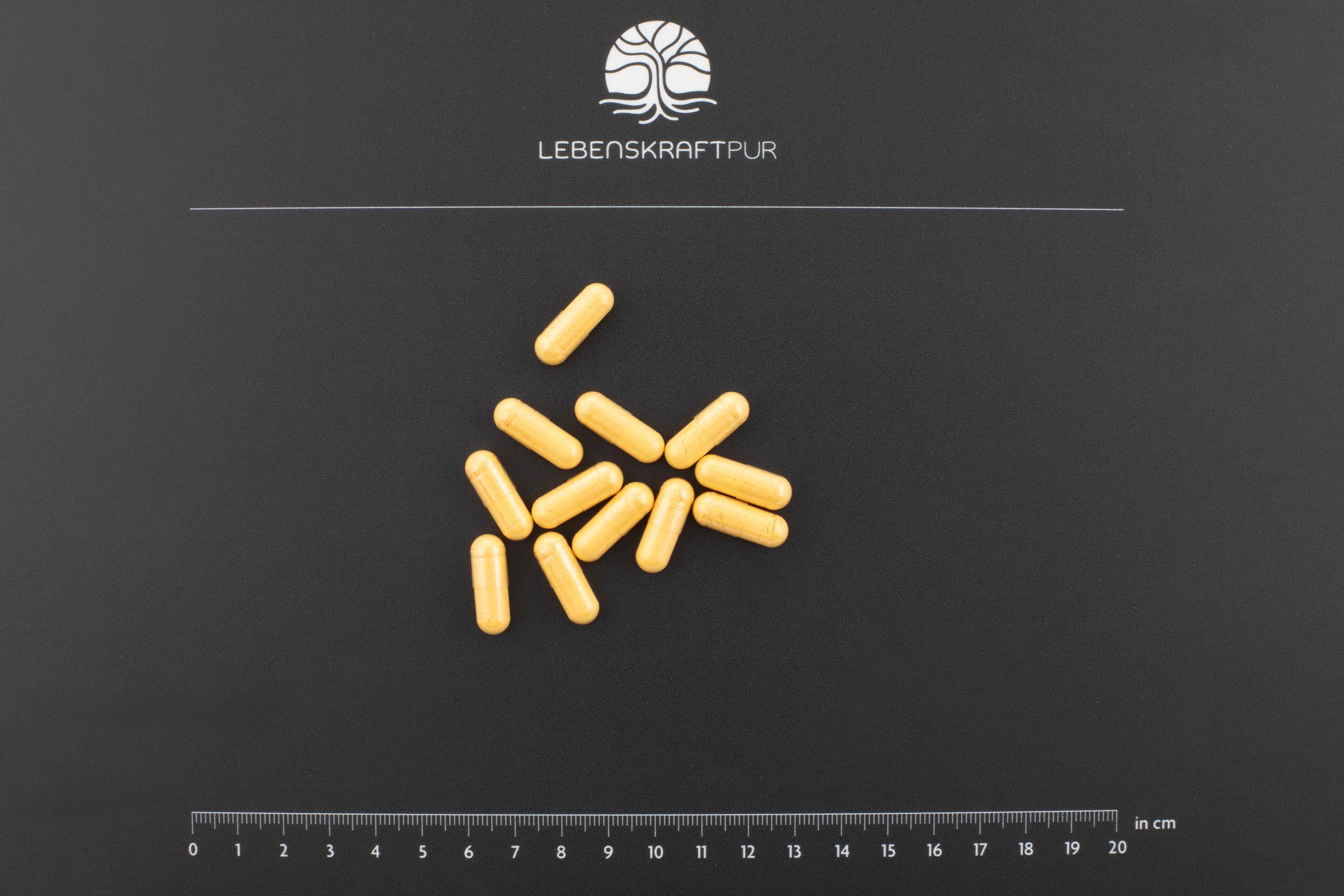 LebenskraftPur Vitamin B Komplex Kapseln alle B-Vitamine vegan