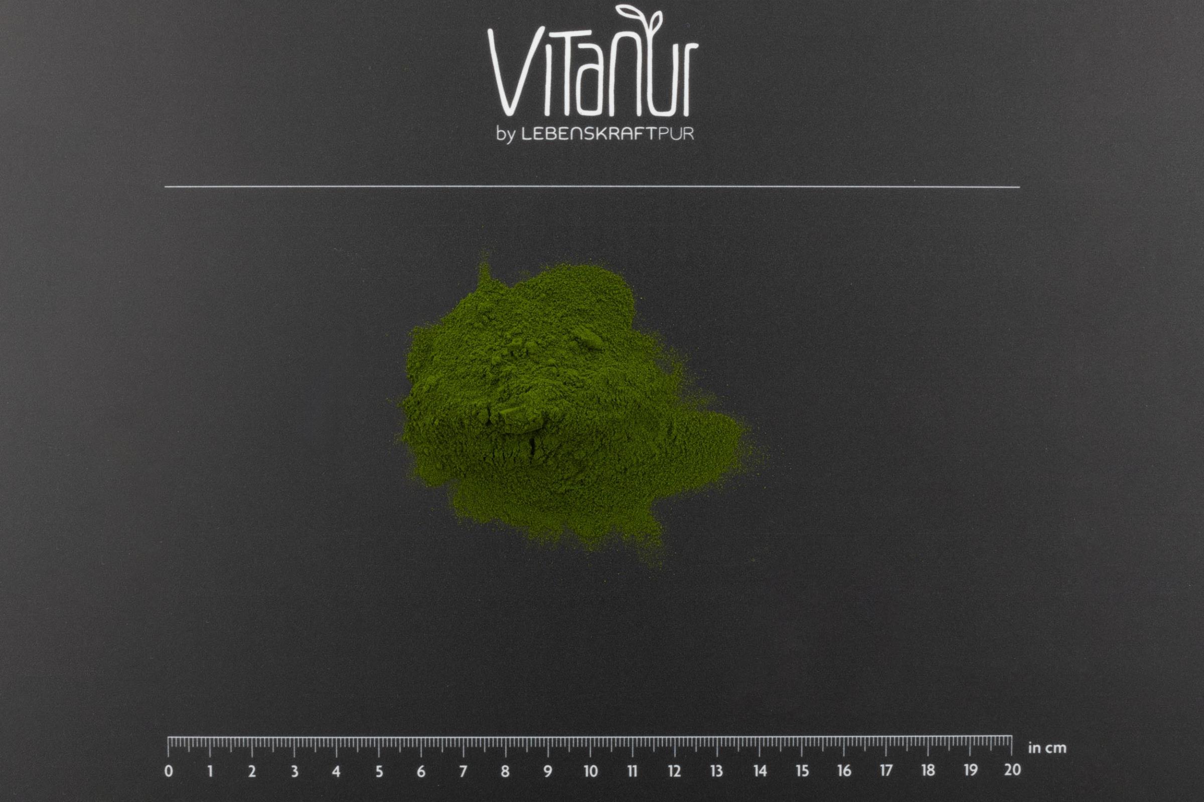 LebenskraftPur Bio Grüner Saft Pulver Gräser-Saftpulver bio