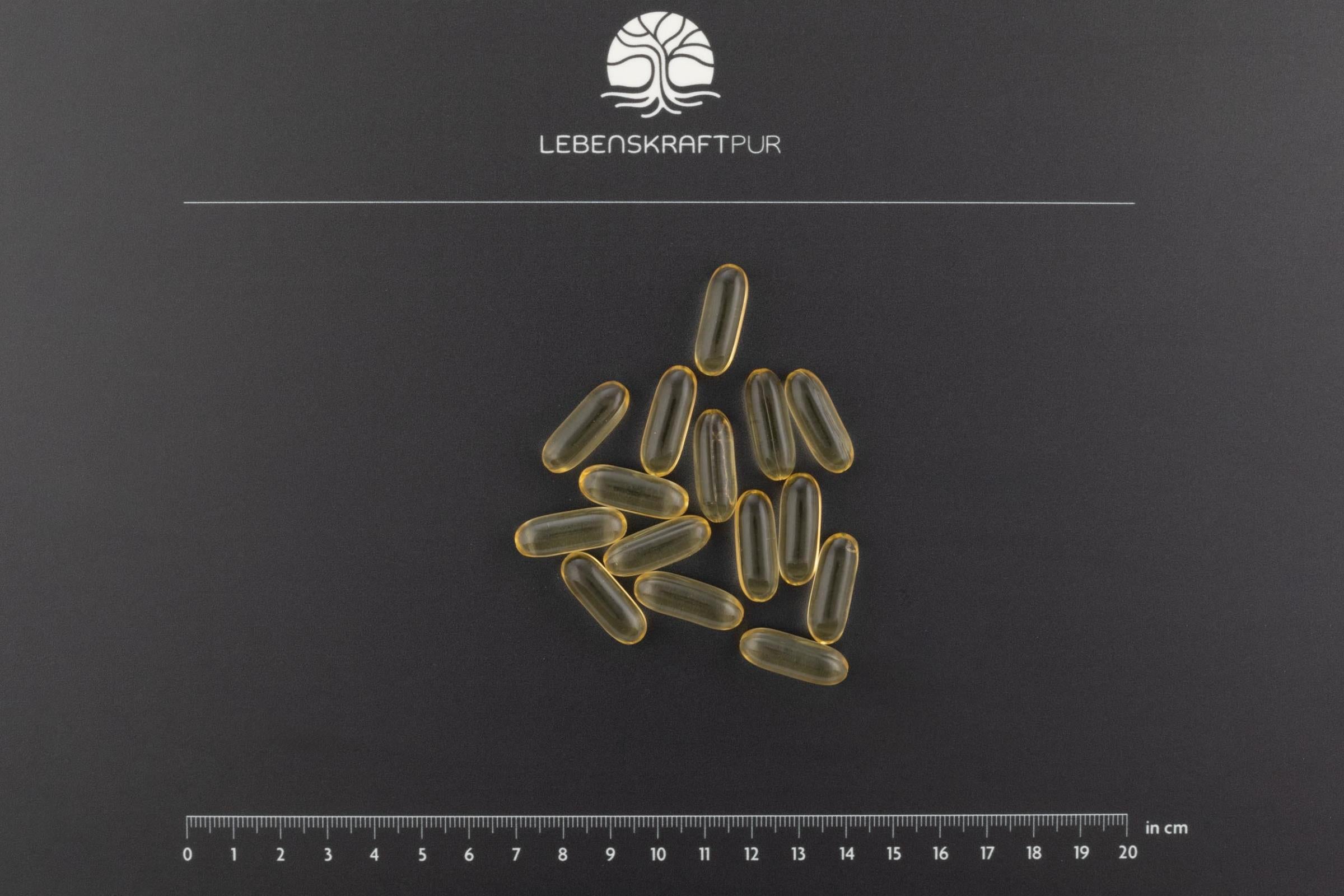 LebenskraftPur Omega 3 Vegan Kapseln 60 Kapseln Algenöl
