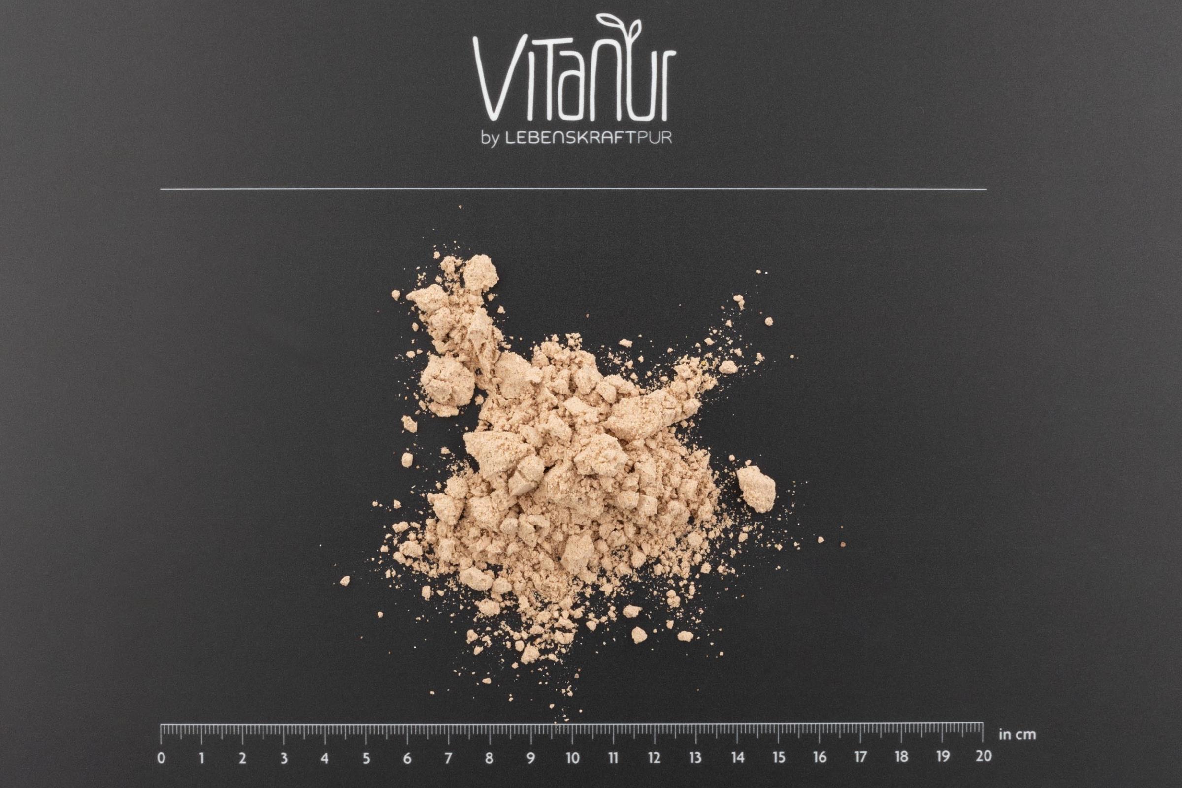 LebenskraftPur Bio Protein Vegan Pulver Dunkle Schokolade