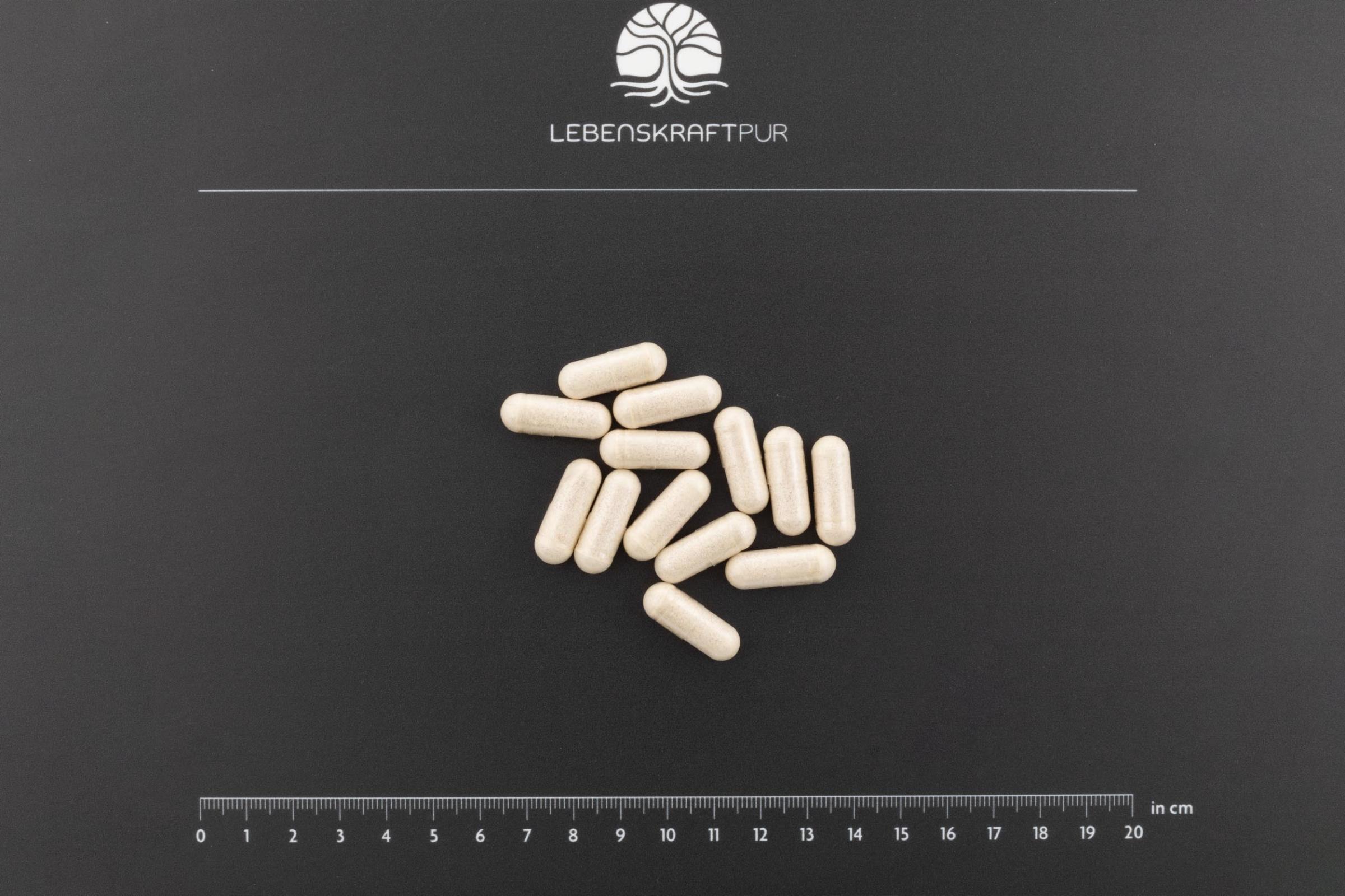 LebenskraftPur Kardio Druck Kapseln mit Kalium vegan