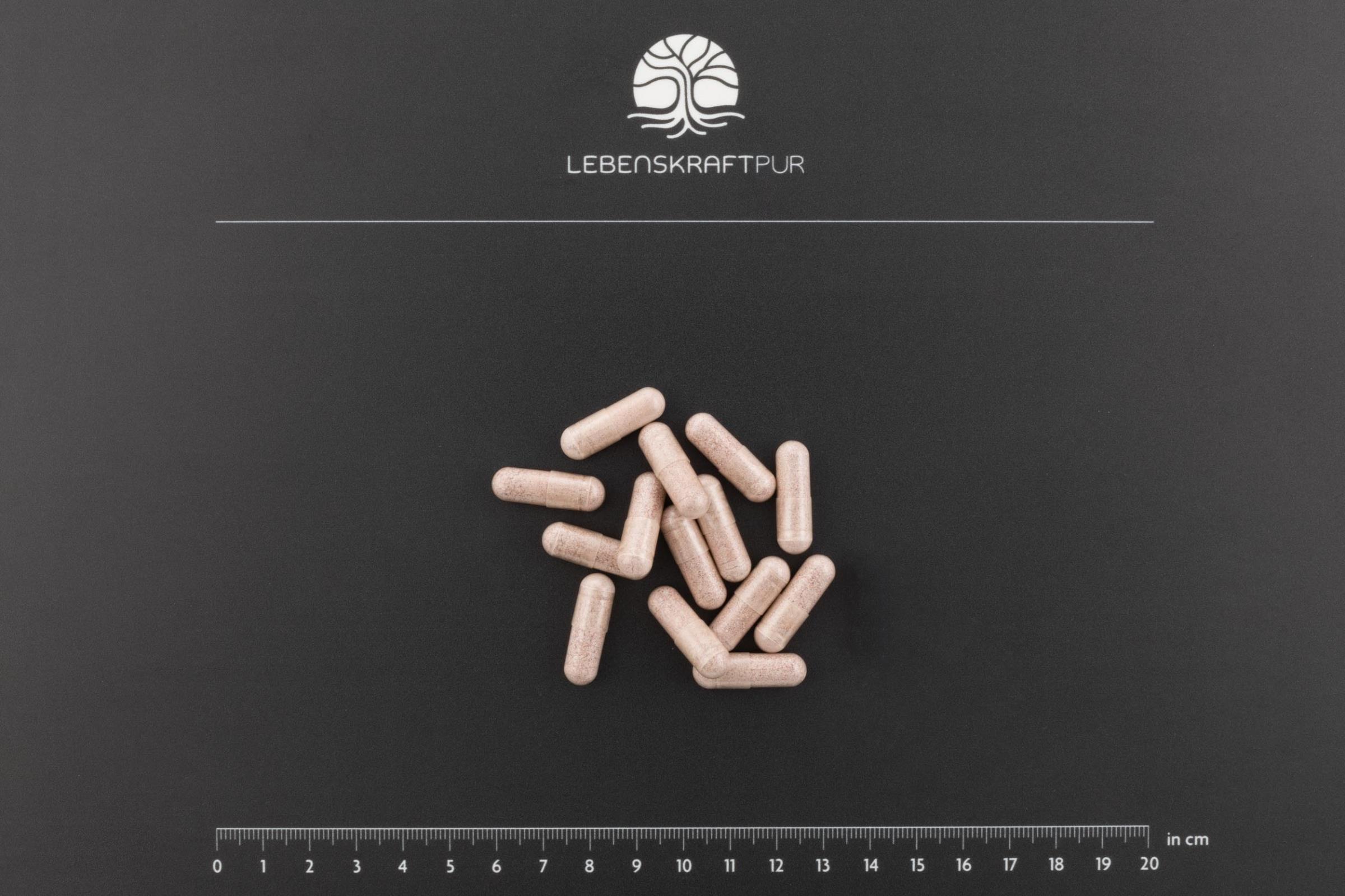 LebenskraftPur Nahrungsergänzung Cerebro Vital Kapseln Polyphenole