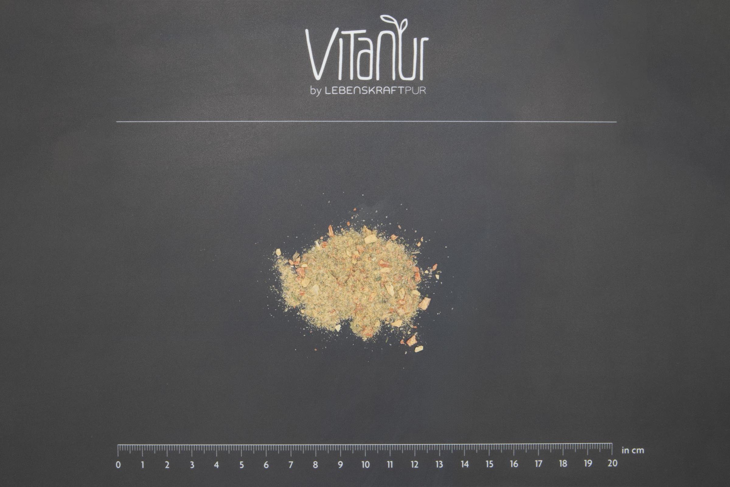 LebenskraftPur Superfood Bio Gemüsebrühe Pulver vegan Ur-Steinsalz