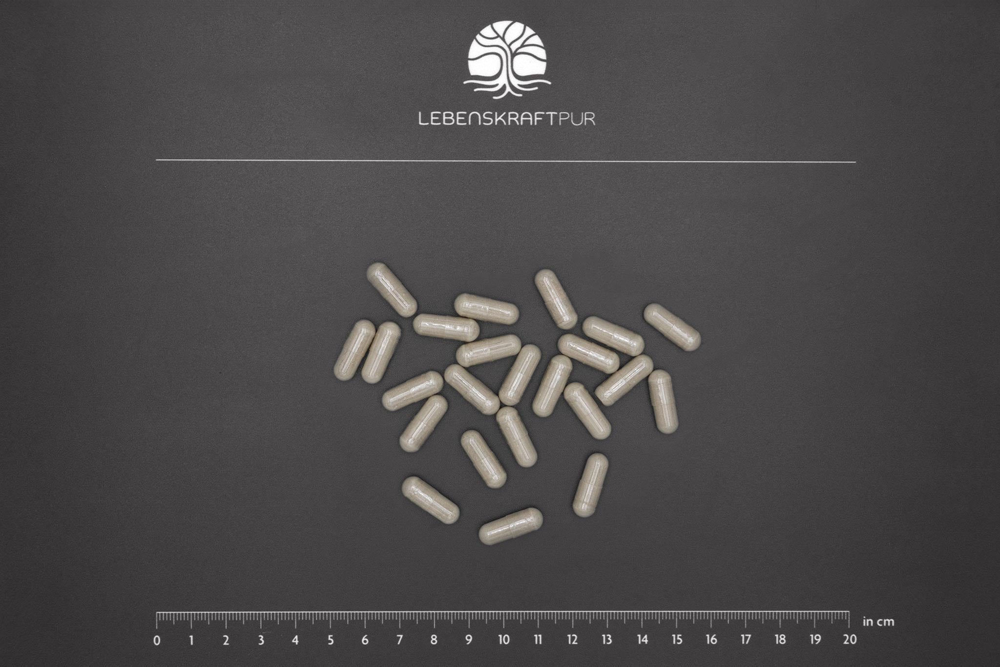 LebenskraftPur Eisen Plus Eisenkapseln 60 Kapseln