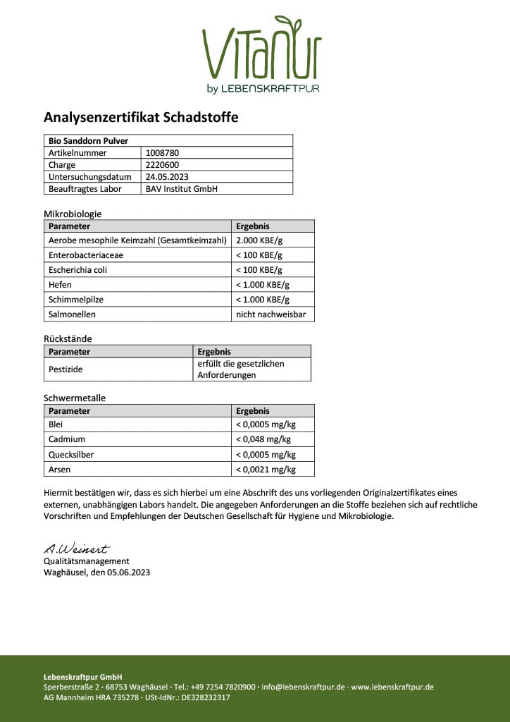 LebenskraftPur Bio Sanddorn Pulver Fruchtpulver Rohkost