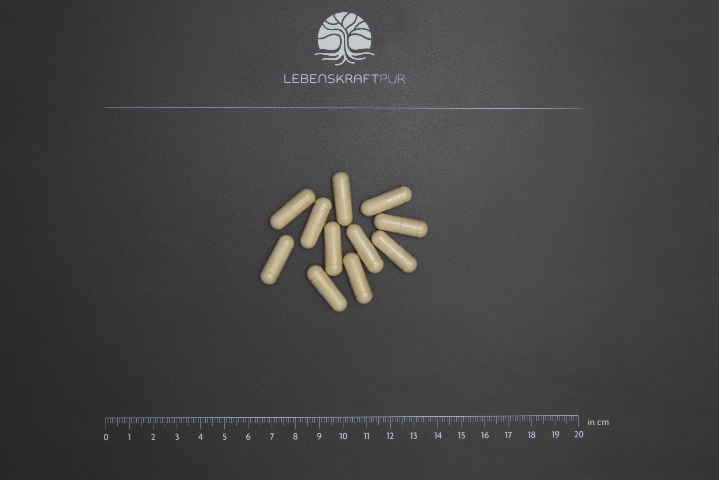 LebenskraftPur Sulforaphan Formula Kapseln Brokkoli-Extrakt vegan