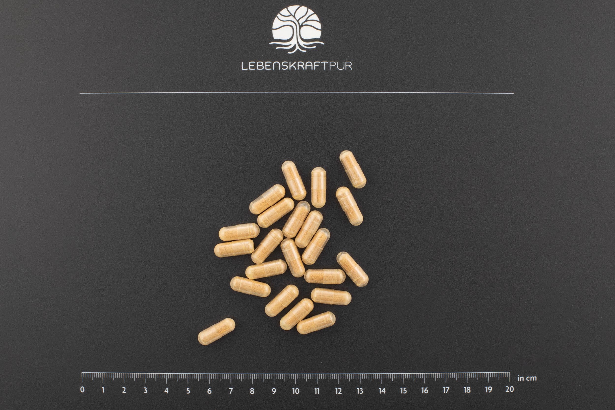 Lebenskraftpur Spermidin Plus Kapseln 60 Kapseln Zink