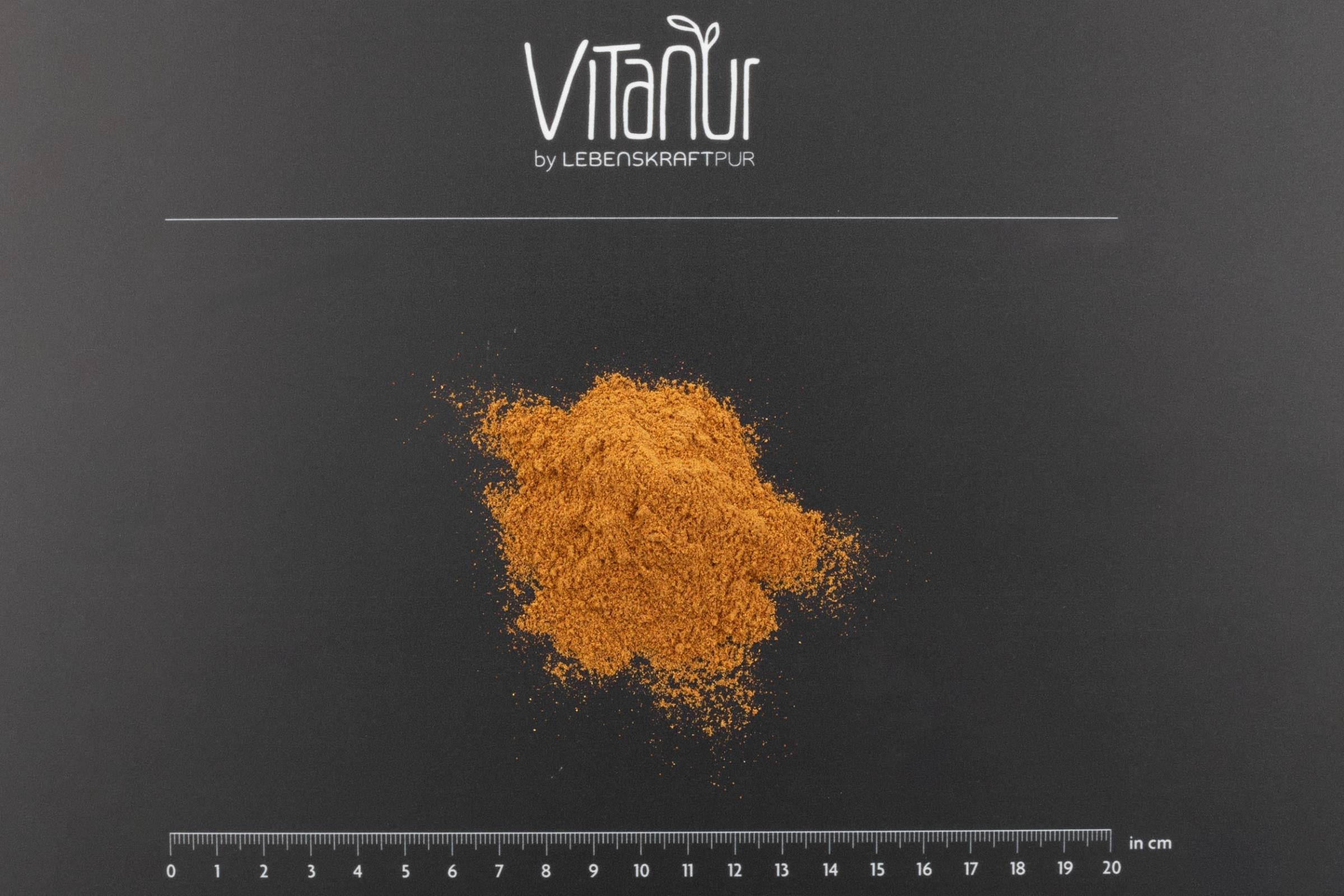 LebenskraftPur Bio Wilde Hagebutte Pulver Superfood bio