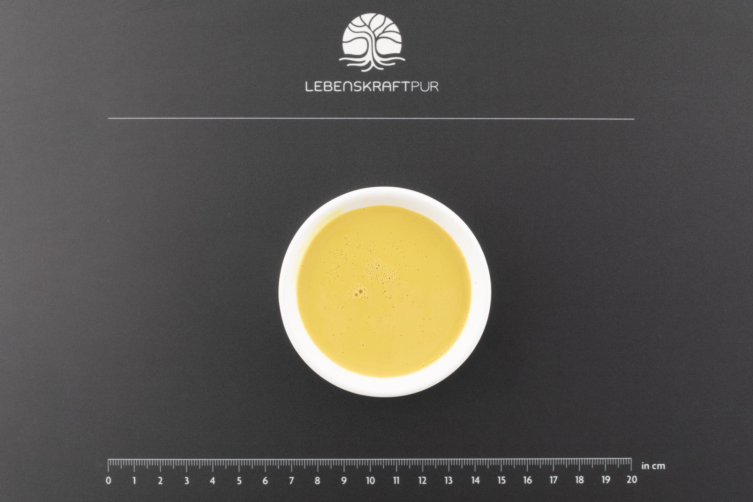 LebenskraftPur Nahrungsergänzung Quercetin Liposomal Liquid 300 mg