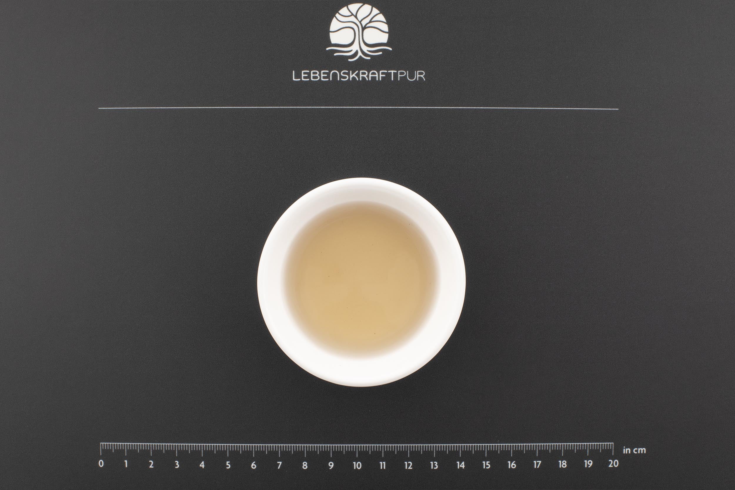 LebenskraftPur Silber Kolloidal Lösung 10 ppm