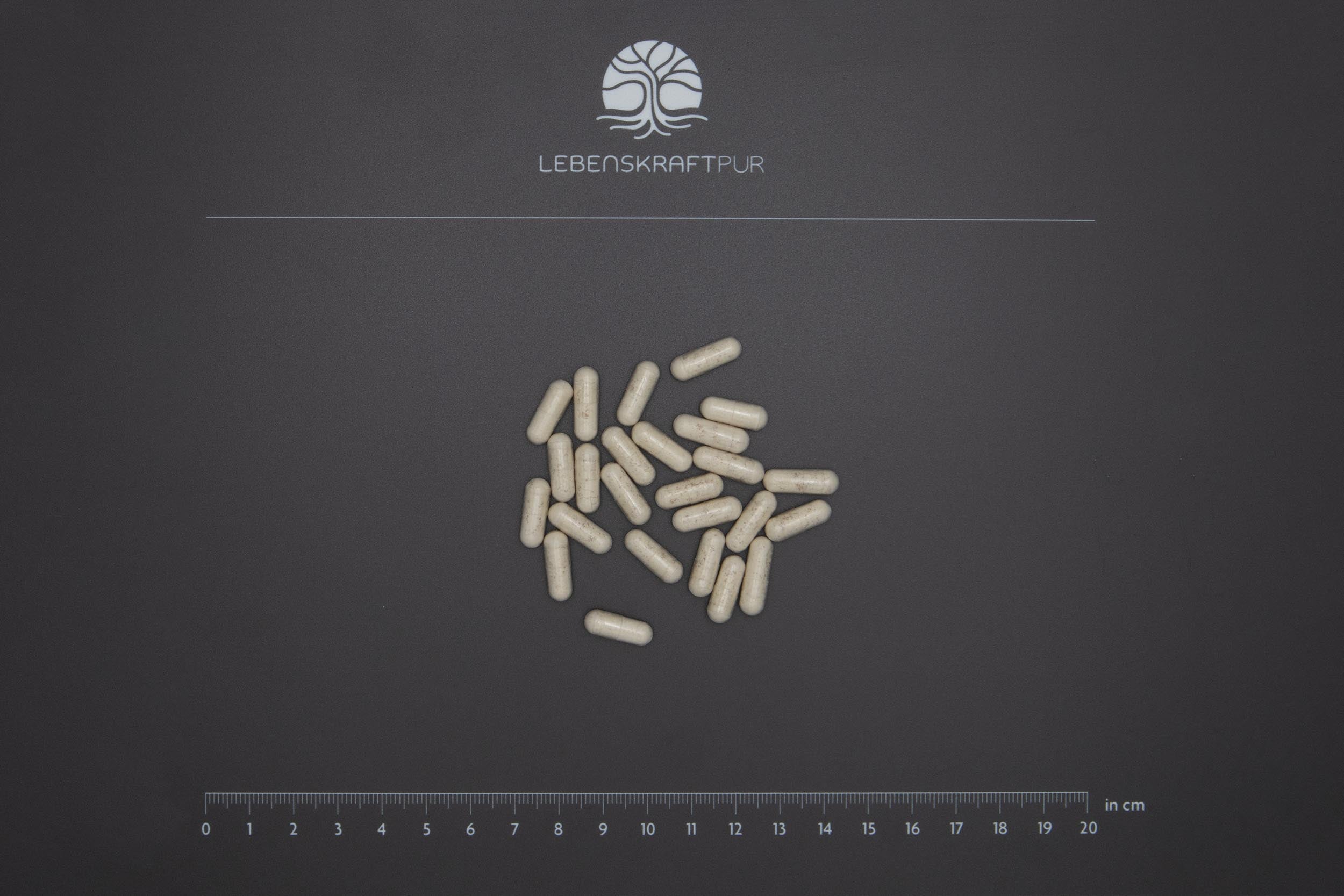 LebenskraftPur Mikrobiom Sensitiv Forte Kapseln 27 Stämme