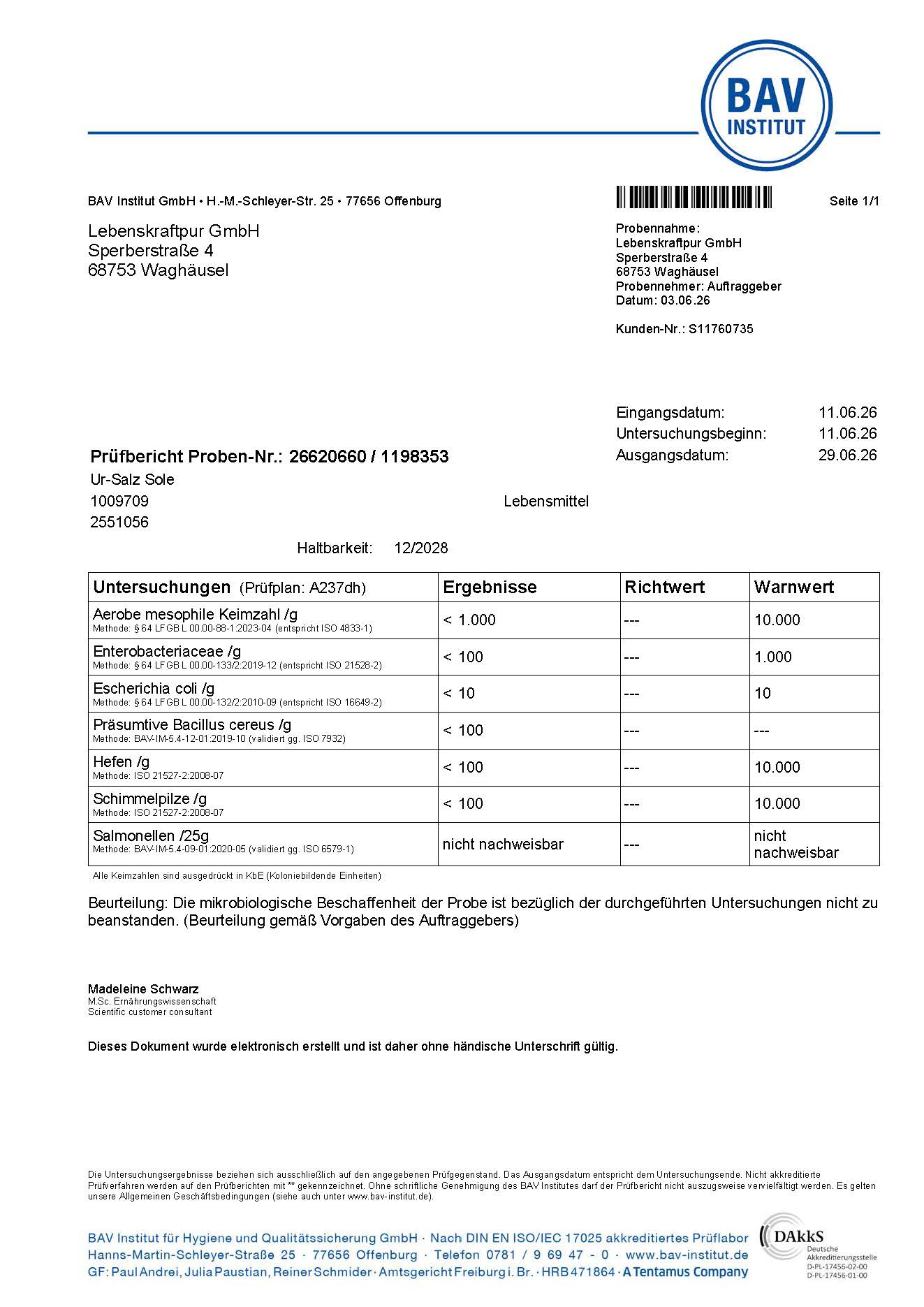 LebenskraftPur Ur-Salz Sole Natursalz Flüssigkeit