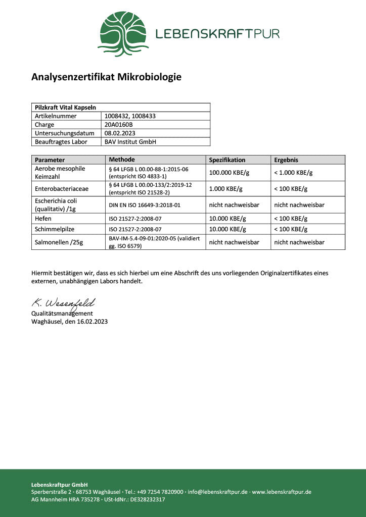 LebenskraftPur Pilzkraft Vital Kapseln Agaricus Cordyceps
