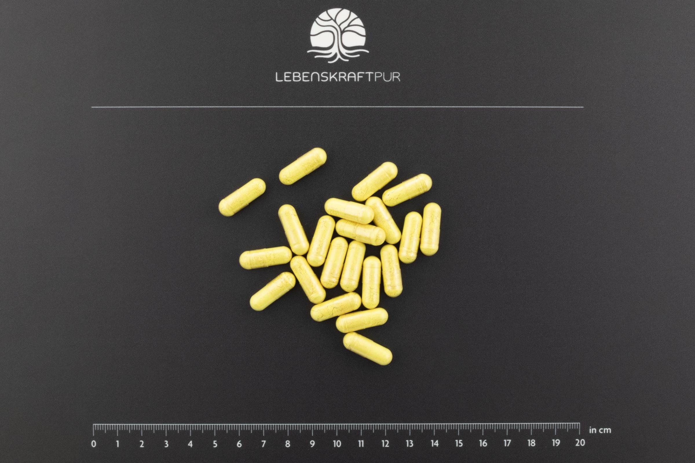 LebenskraftPur Quercetin Plus Kapseln vegan 500 mg mit Vitamin C Zink