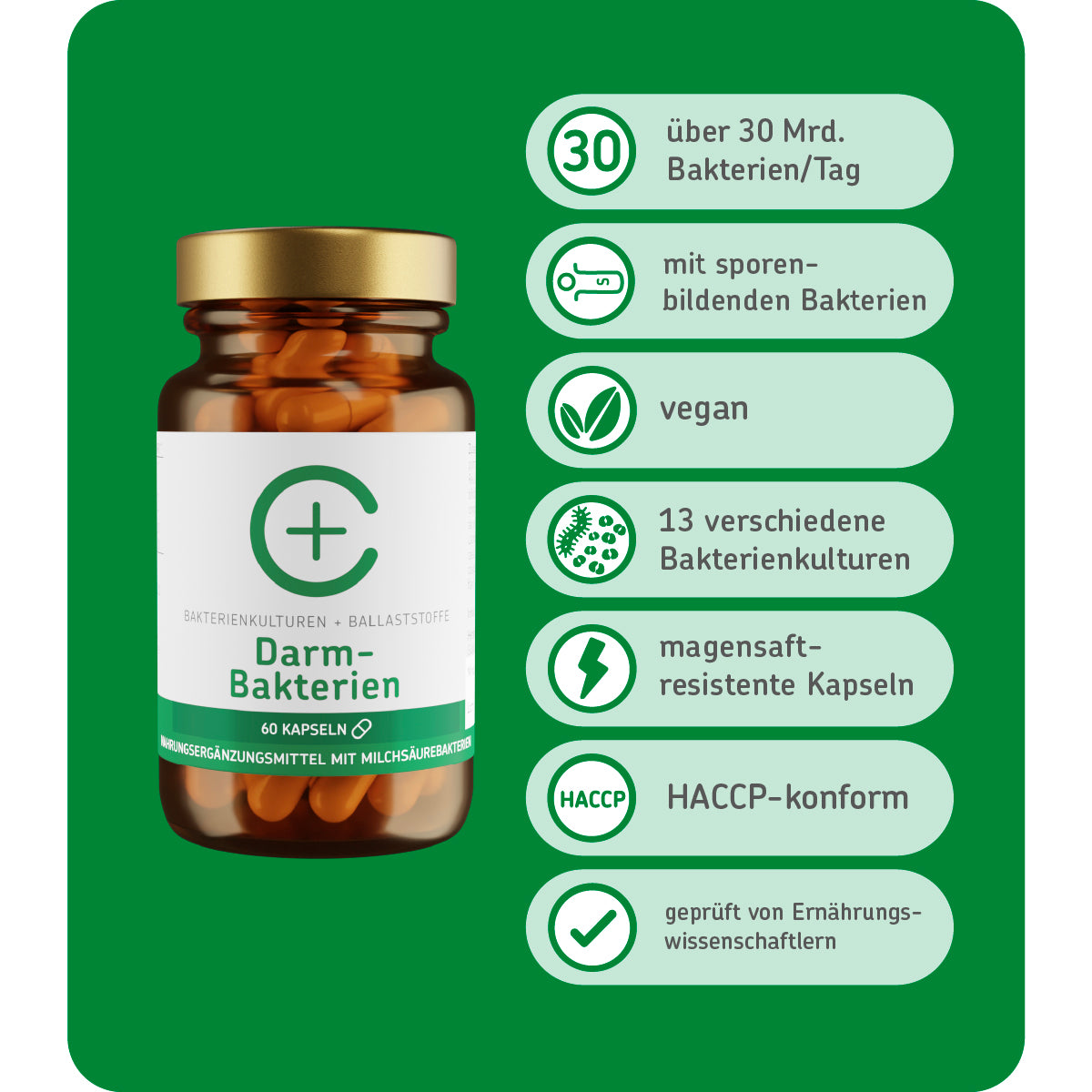 cerascreen Vital Nahrungsergänzung Darmbakterien Kapseln 60 Stück vegan