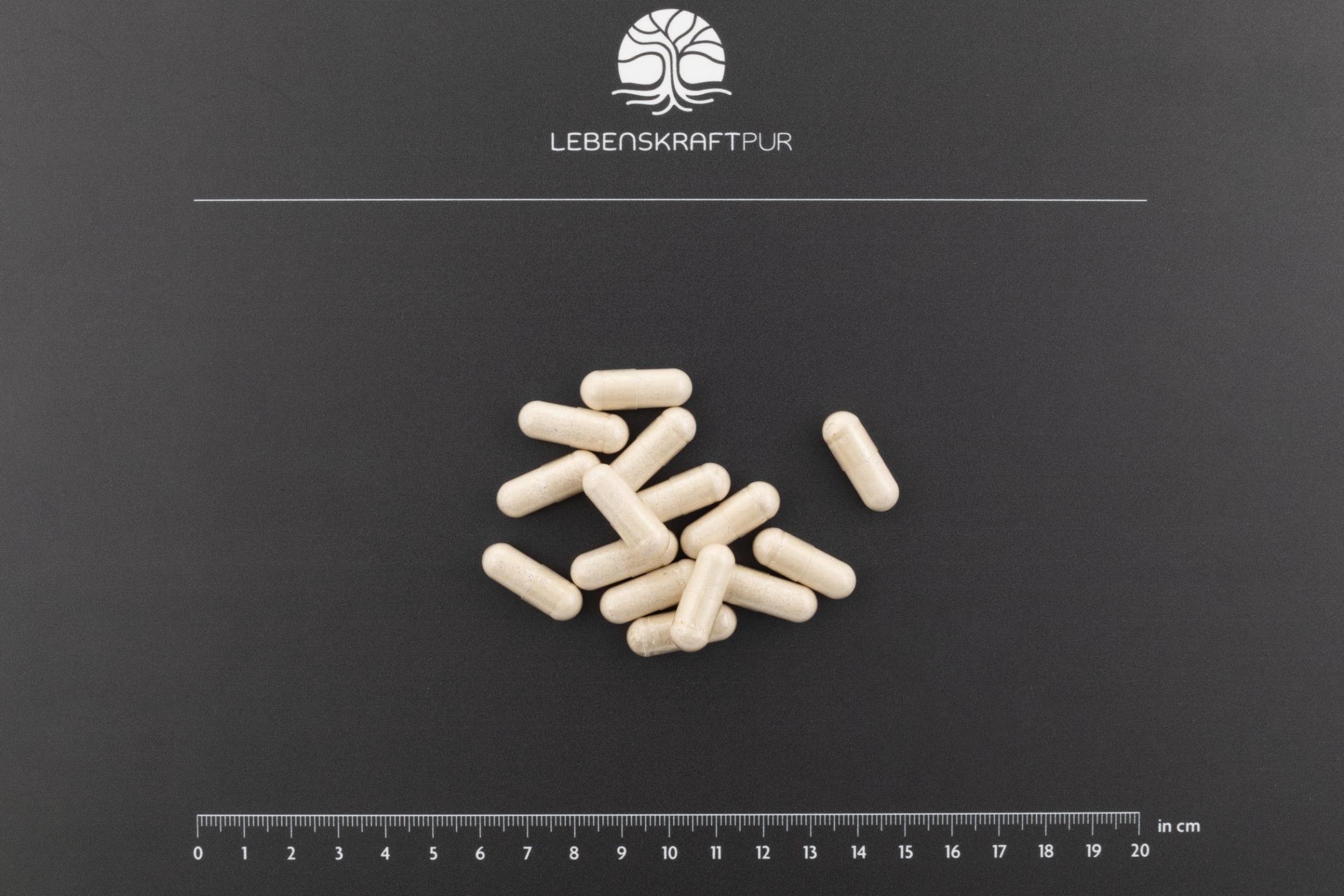 Lebenskraftpur Osteo Formula Kapseln vegan mit Calcium