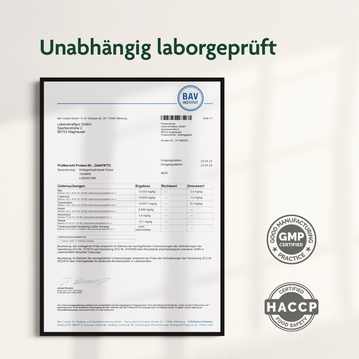 LebenskraftPur Kollagenhydrolysat Pulver 600 g Rind pur