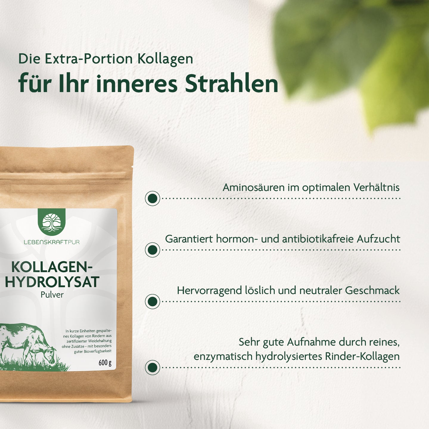 LebenskraftPur Kollagenhydrolysat Pulver 600 g Rind pur