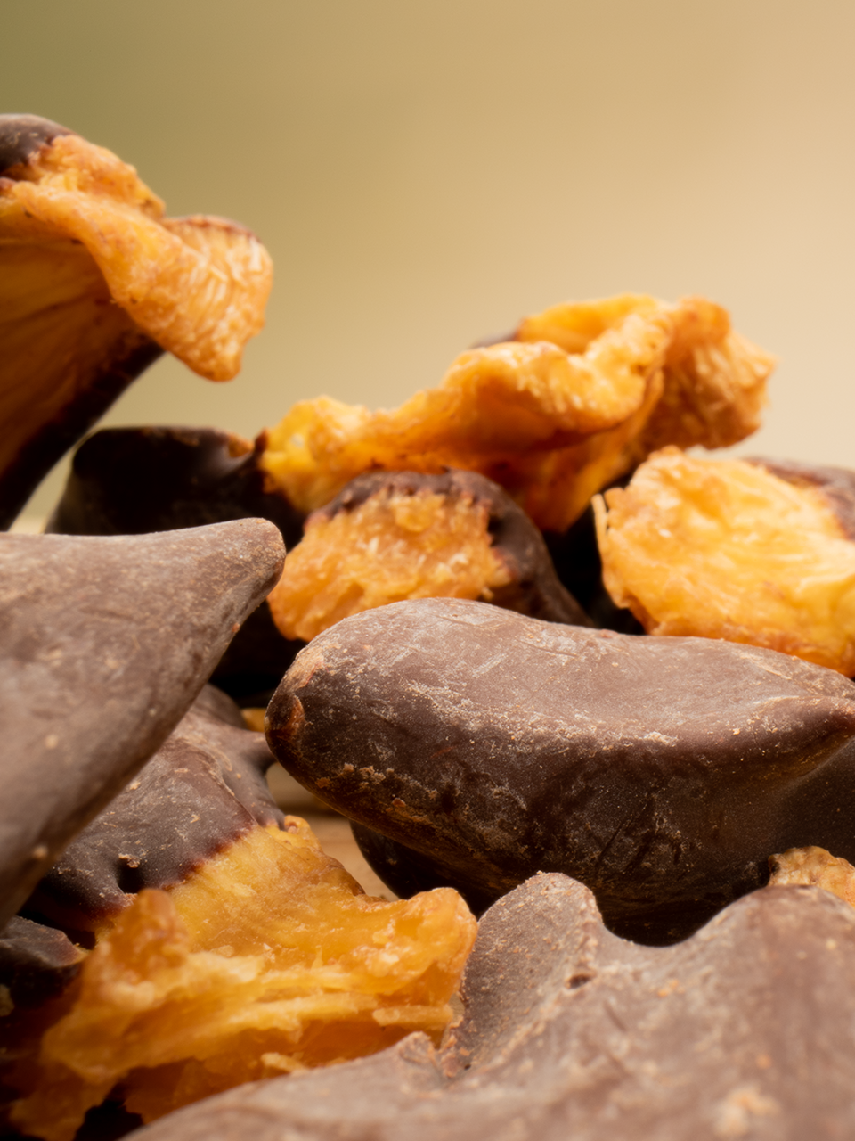 LebenskraftPur Bio Schoko-Ananas Getrocknet Rohkost Snack