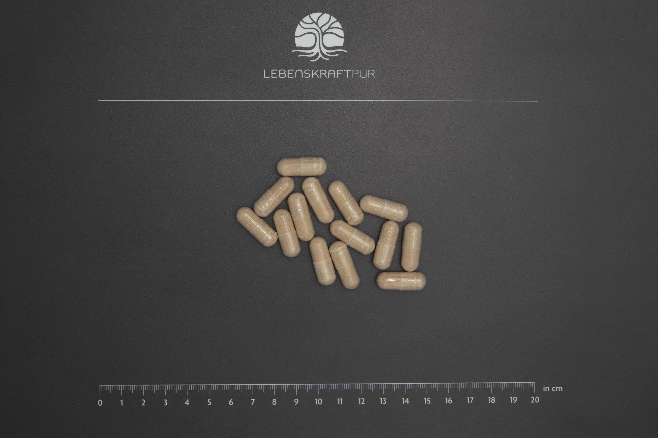 LebenskraftPur Vitamin C Depot Kapseln 60 Kapseln 500 mg vegan