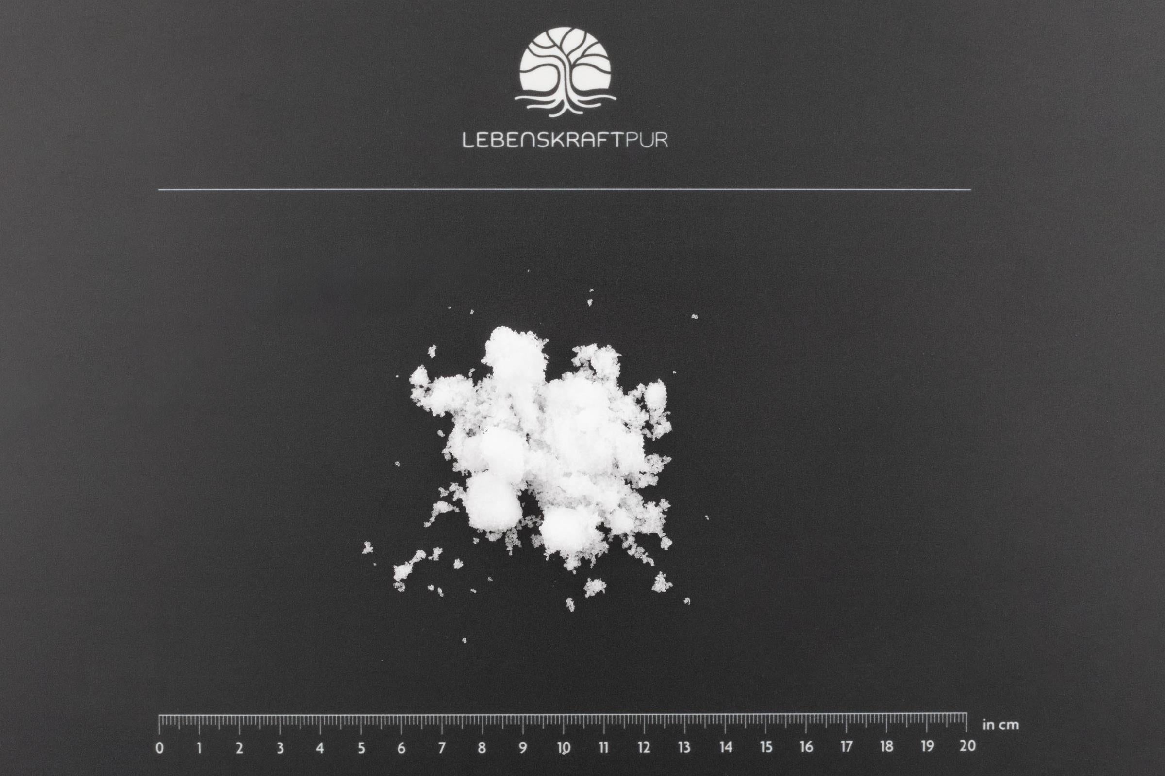 LebenskraftPur Magnesiumchlorid Pulver Nahrungsergänzung 11,8%
