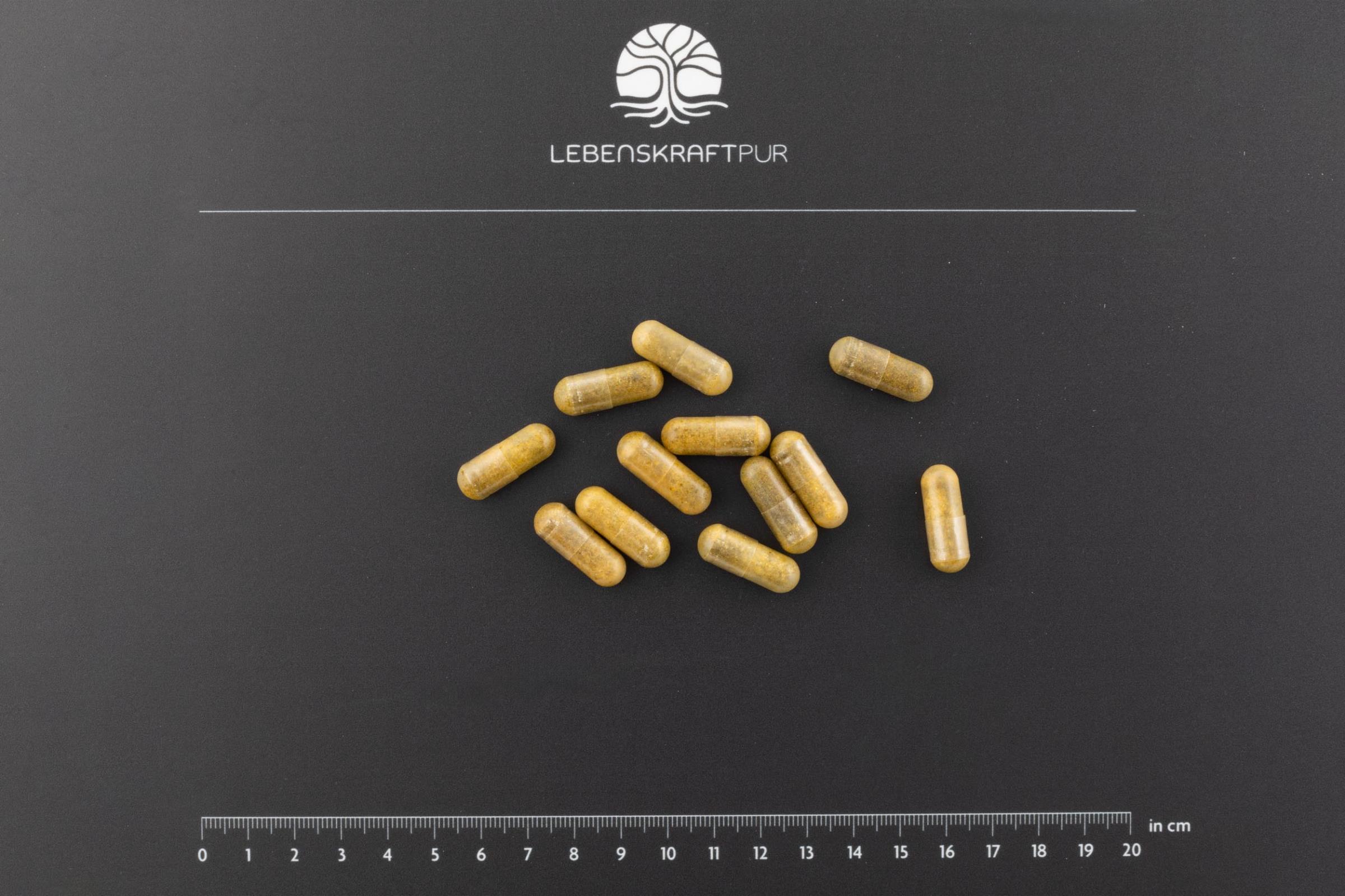 LebenskraftPur Corpura Komplex Kapseln vegan mit ALA und NAC