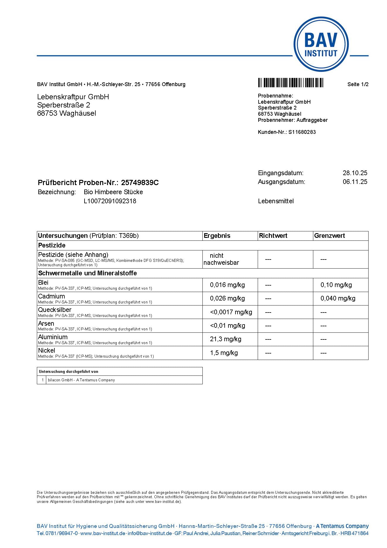LebenskraftPur Bio Himbeere Stücke gefriergetrocknet ohne Zucker