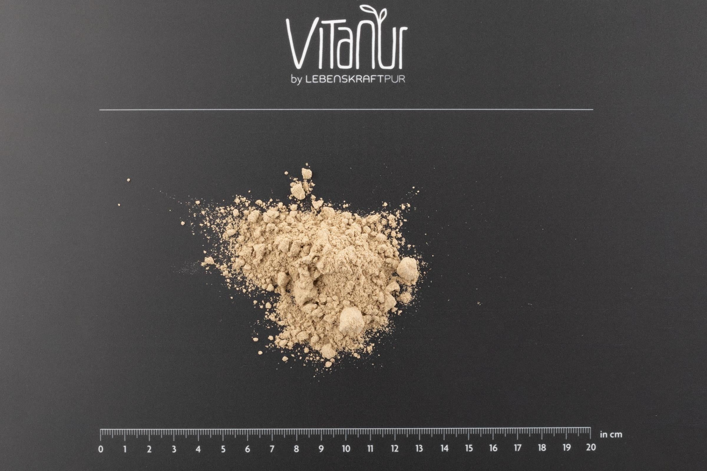 LebenskraftPur Bio Protein Vegan Plus Pulver Kakao 50% Protein