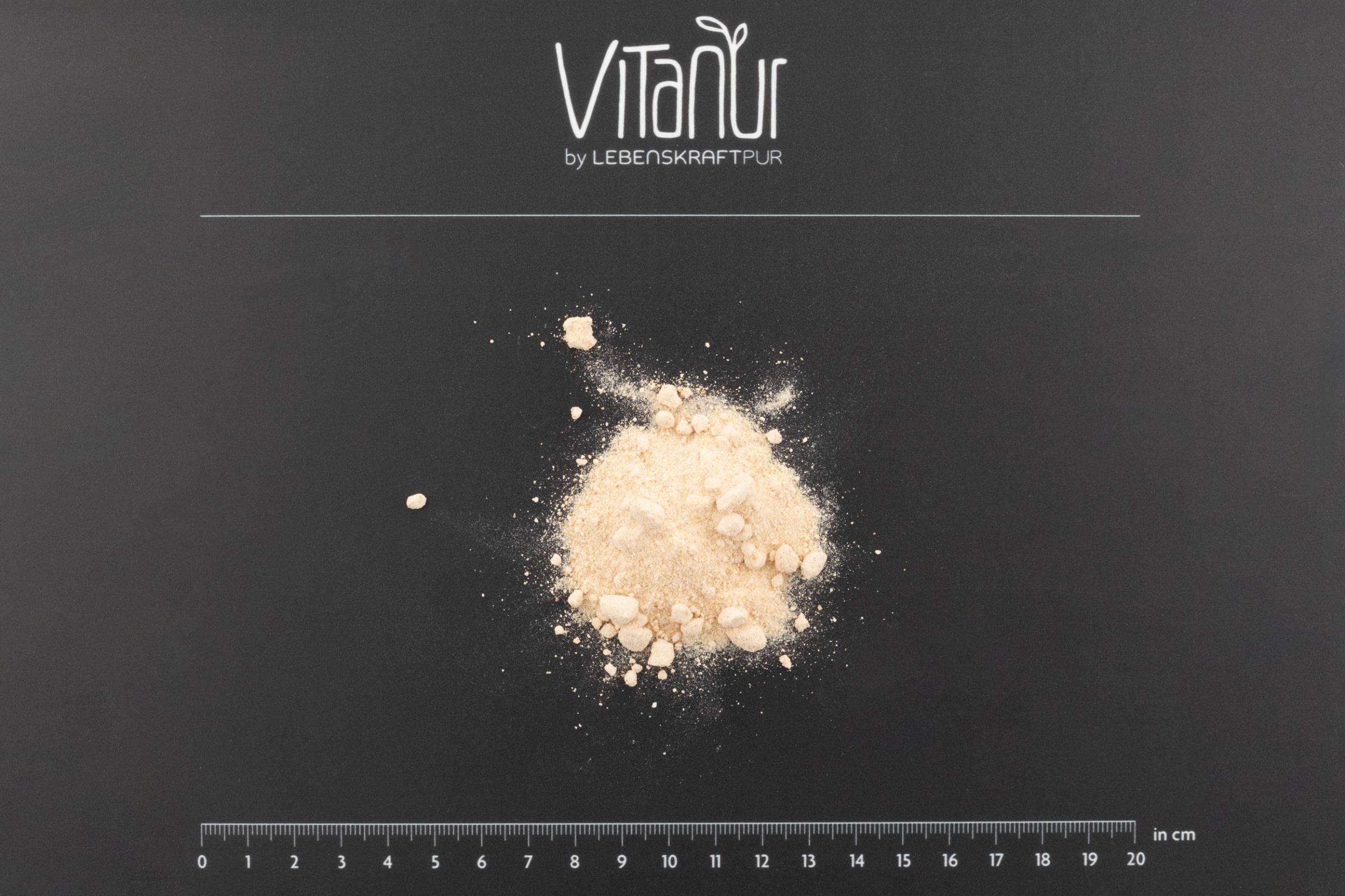 LebenskraftPur Bio Dattelzucker Pulver Deglet Nour 500g