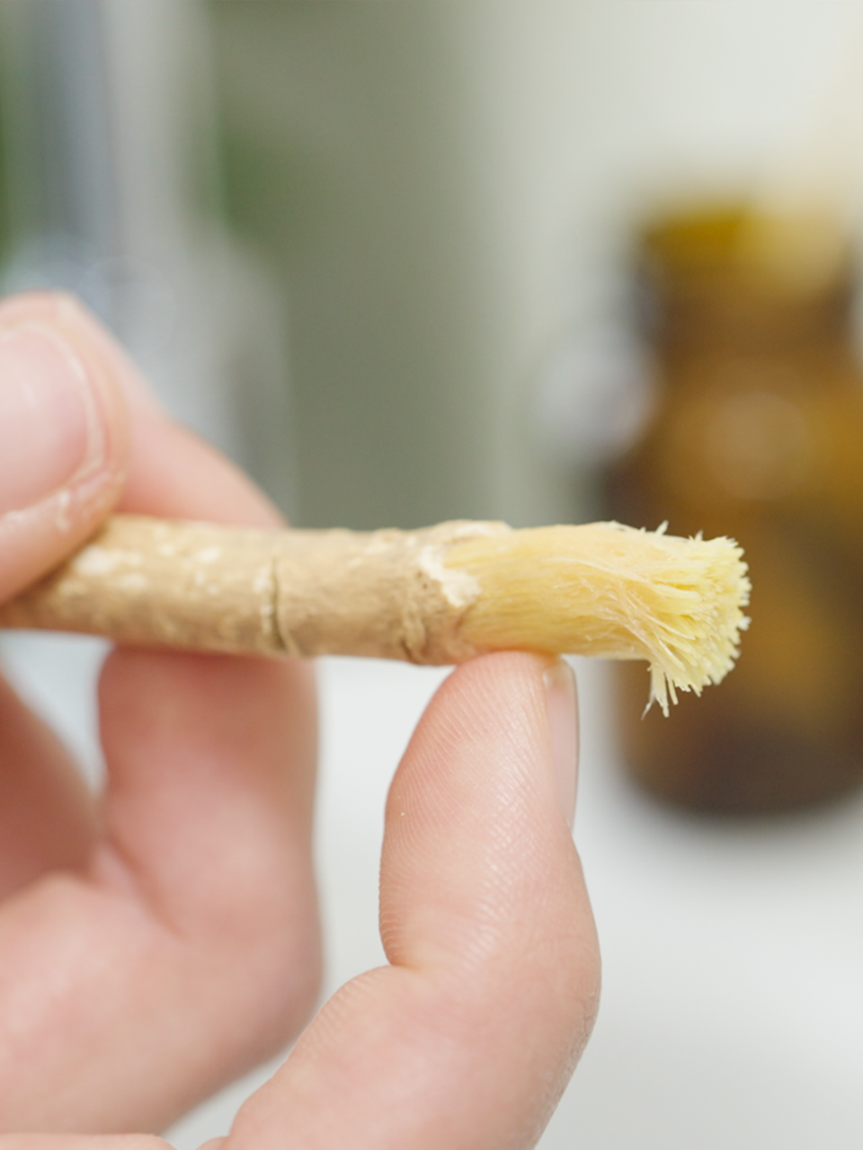 Lebenskraftpur Miswak Zahnbürste Holz unbehandelt nachhaltig