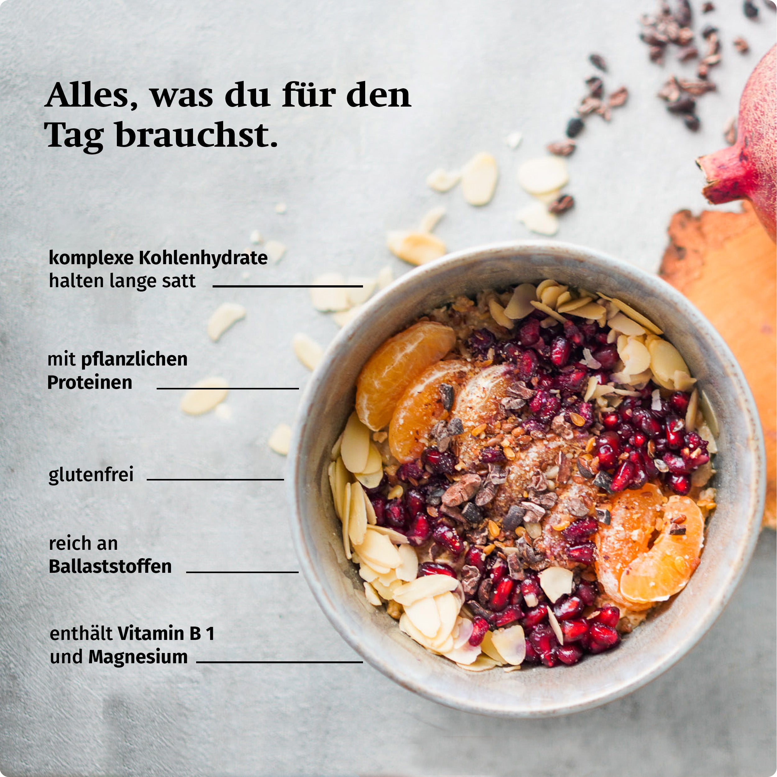 Dr. Johanna Budwig Protein Porridge Kennenlern-Paket Porridge vegan