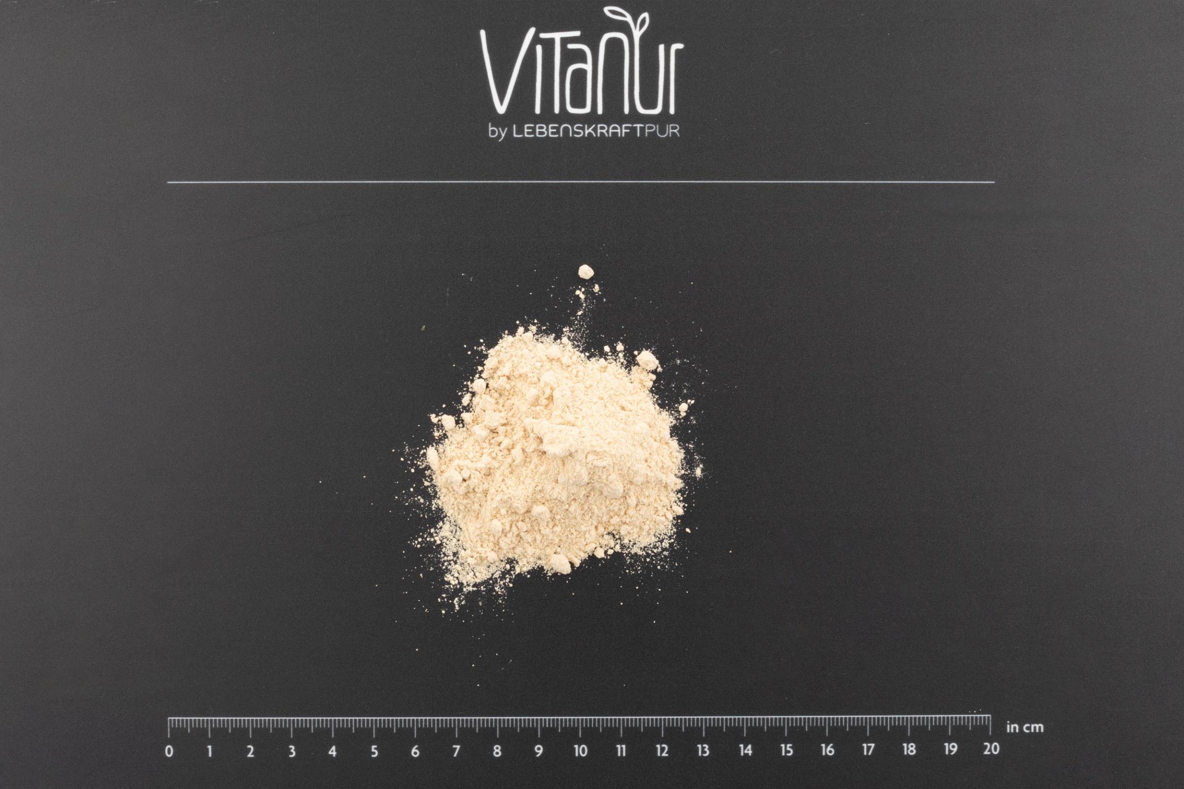 LebenskraftPur Bio Protein Vegan Banane Pulver Über 40% Protein