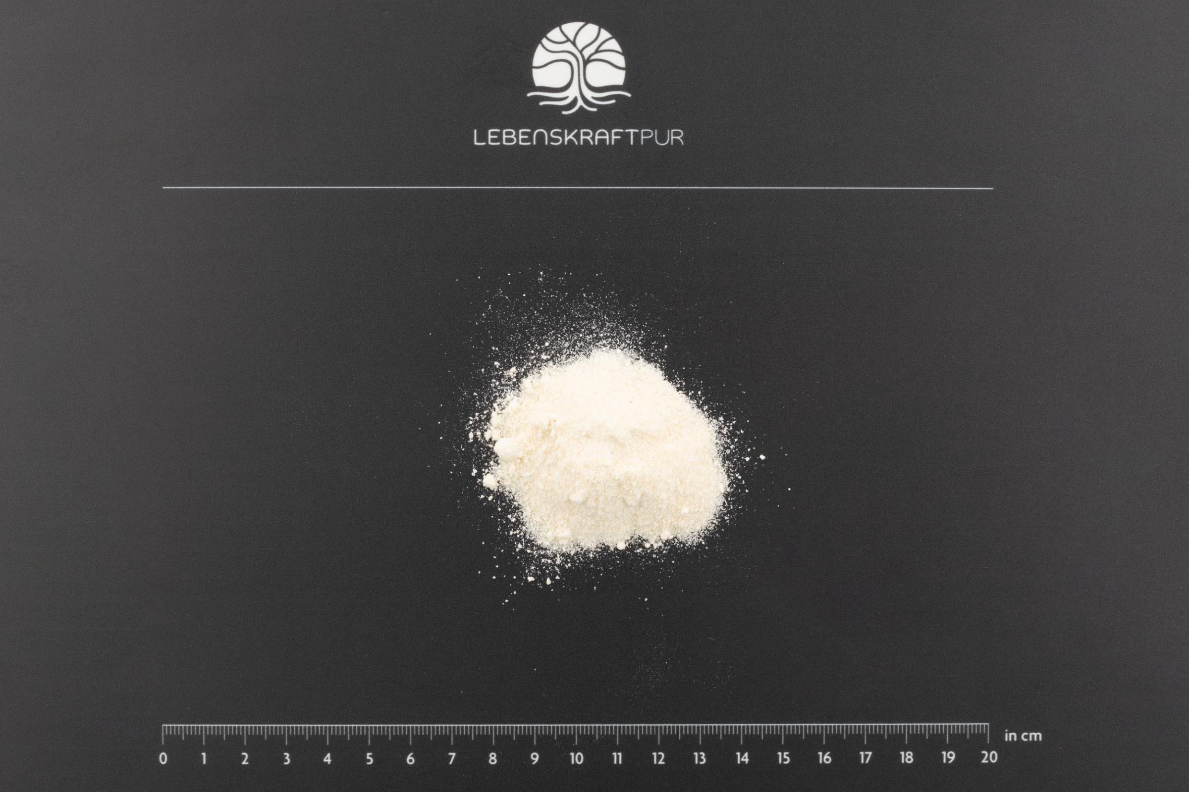 LebenskraftPur Kollagen Formula Vegan Pulver Aminosäuren