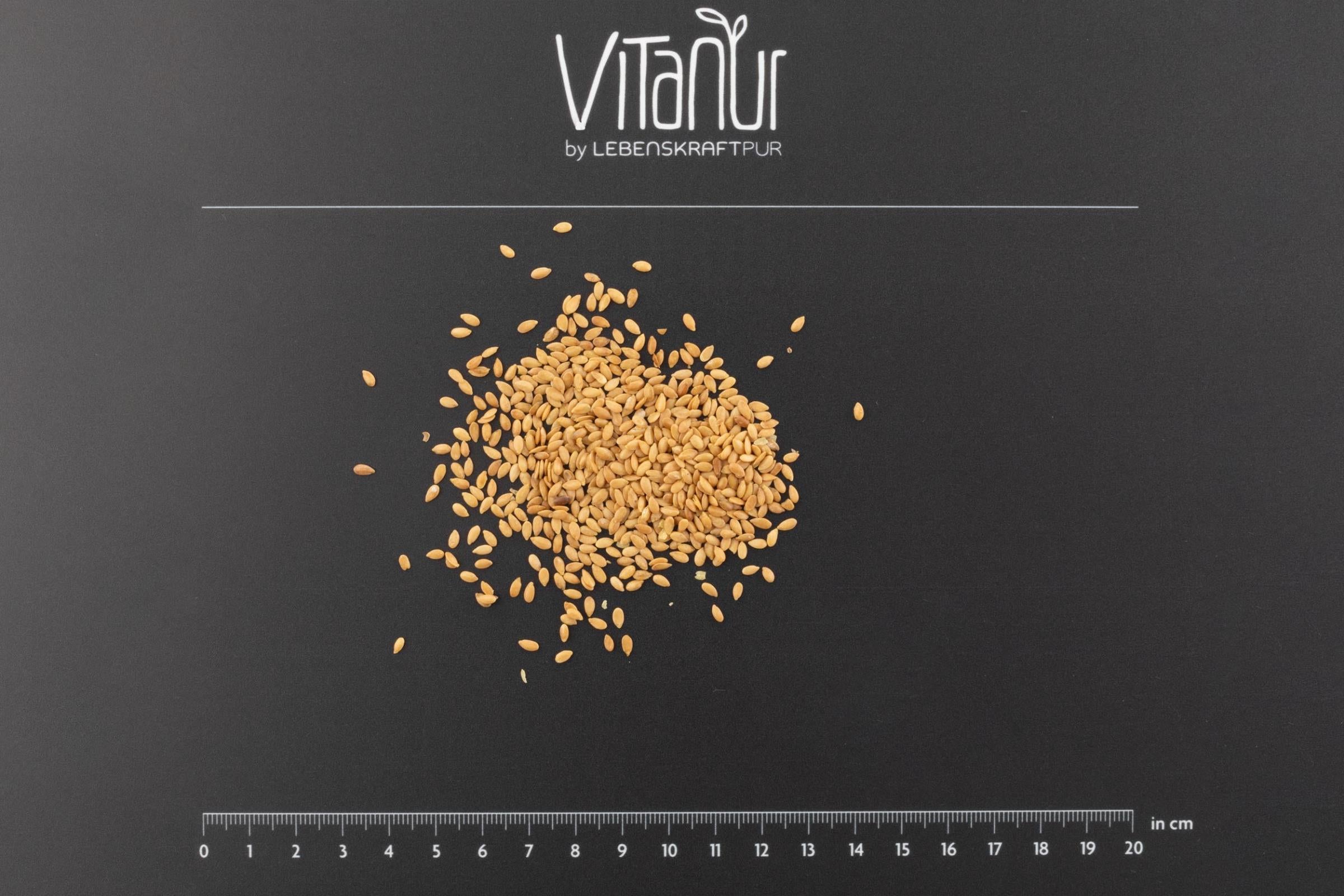 LebenskraftPur Superfood Bio Leinsamen Gold Gekeimt 350 g