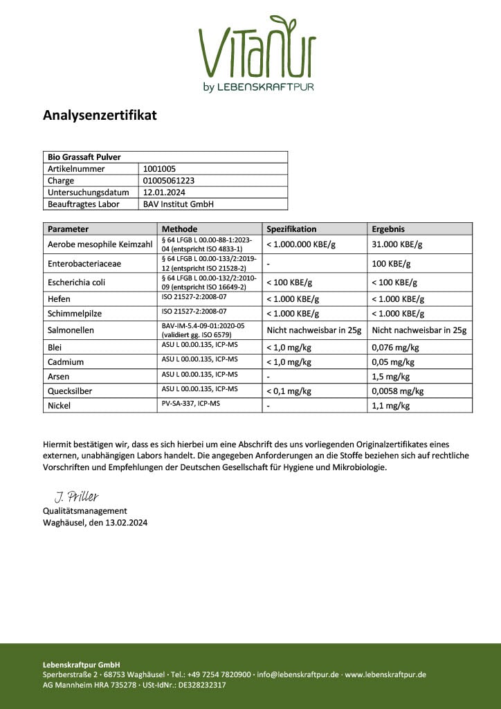 LebenskraftPur Bio Grassaft Pulver Gerste Kamut bio
