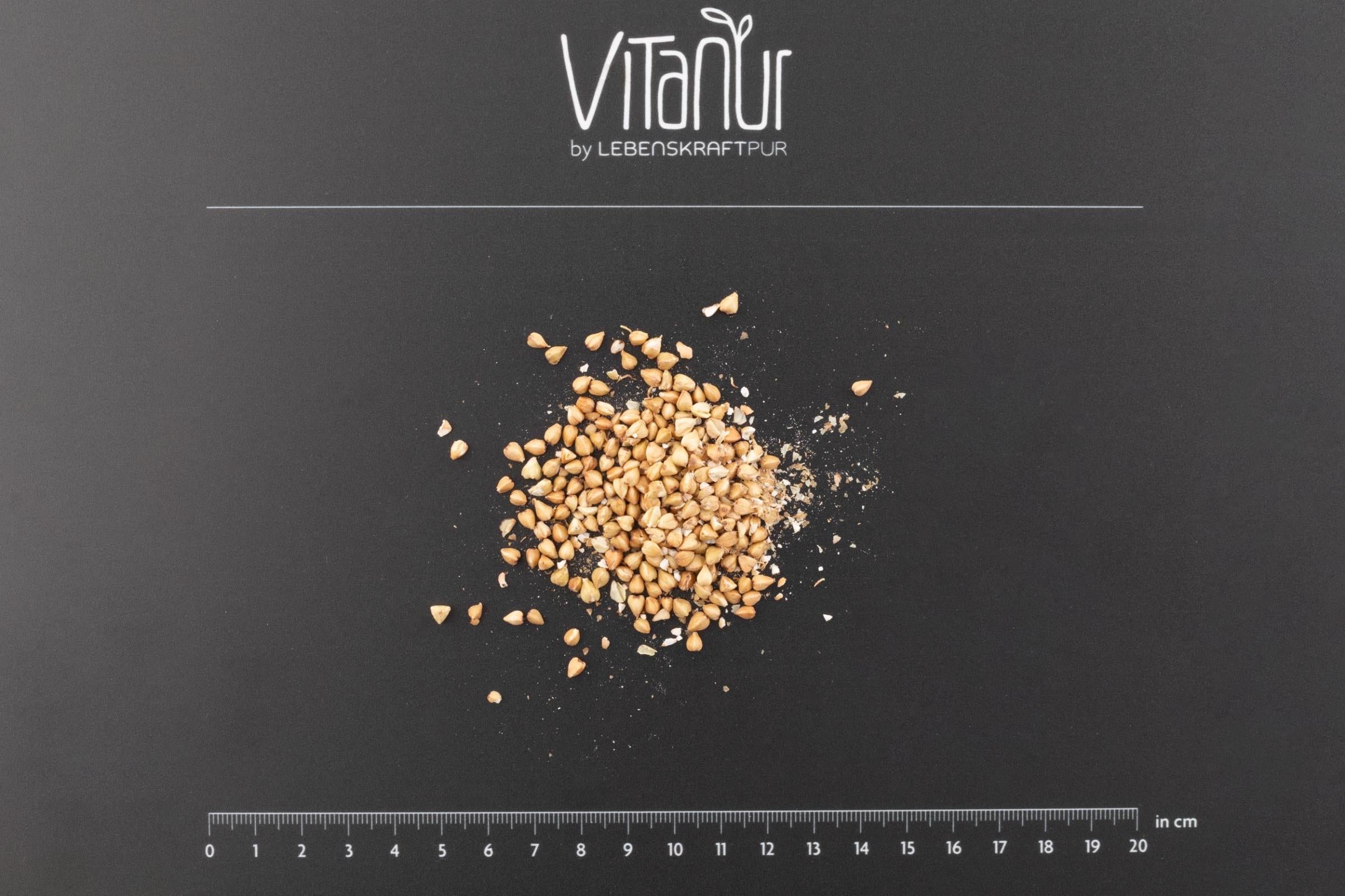 LebenskraftPur Bio Buchweizen Gekeimt 350 g Rohkost vegan